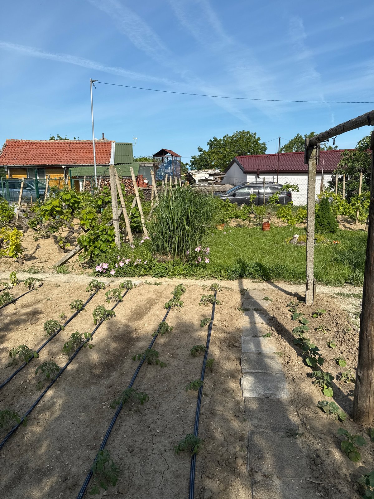 Vegetable garden with irrigation system documented in Varna, Bulgaria