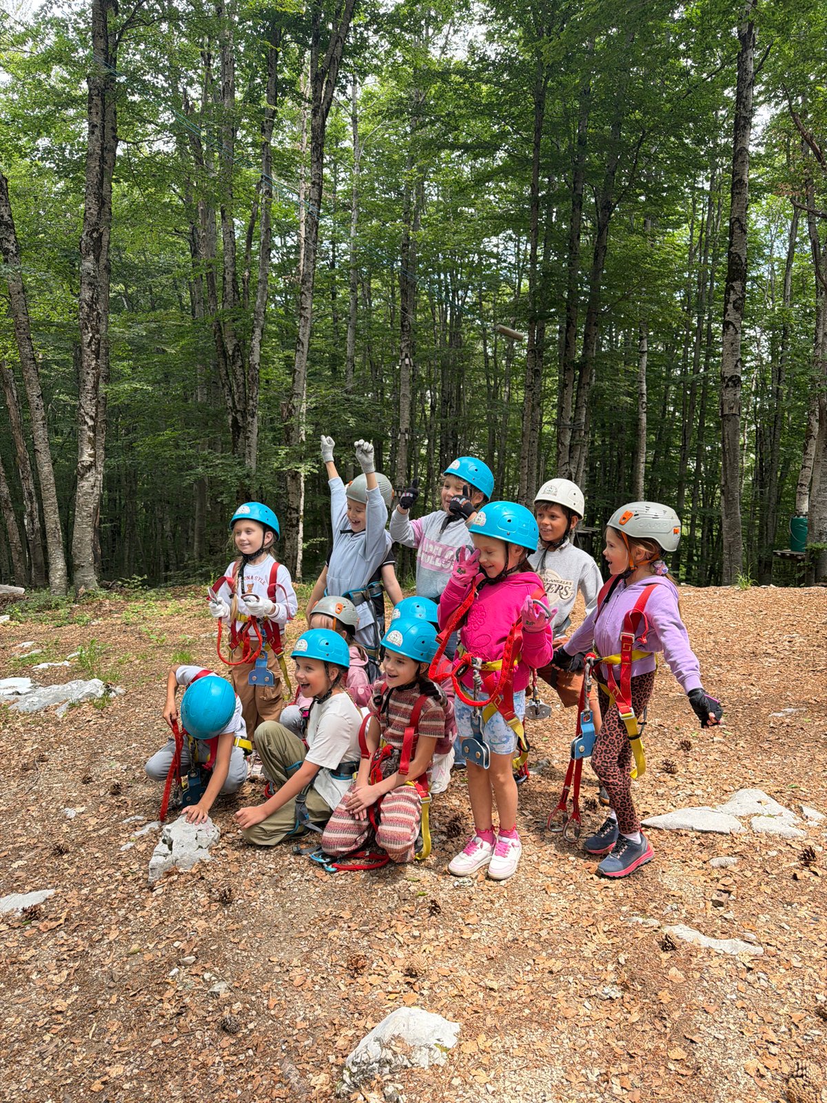 Children enjoy adventure park activities in Montenegro forest