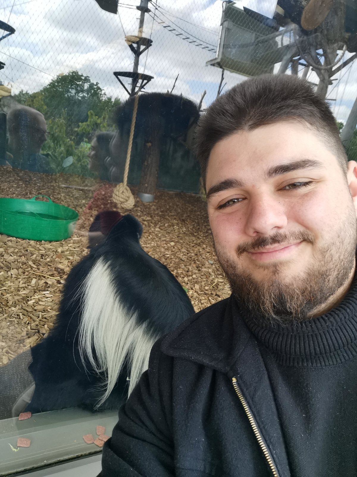 Zoo visitor documents African animals during afternoon visit