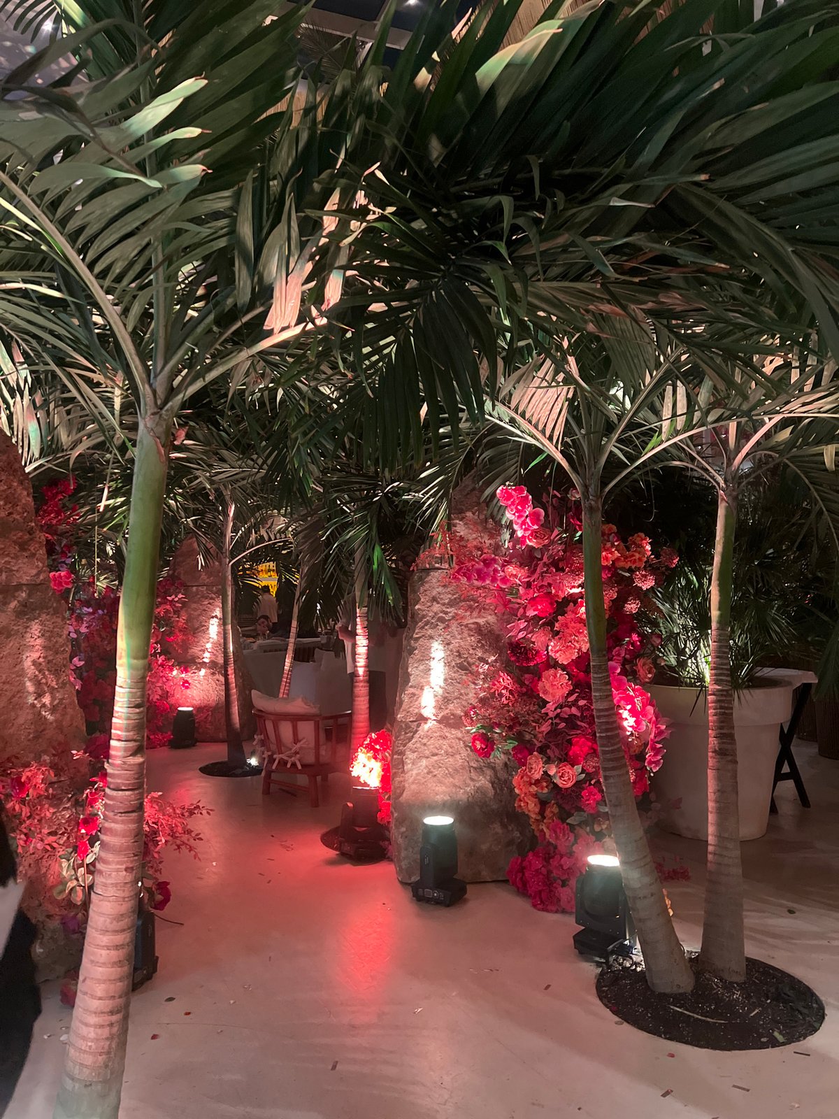 Event venue in Yerevan features palm trees, flowers under spotlights