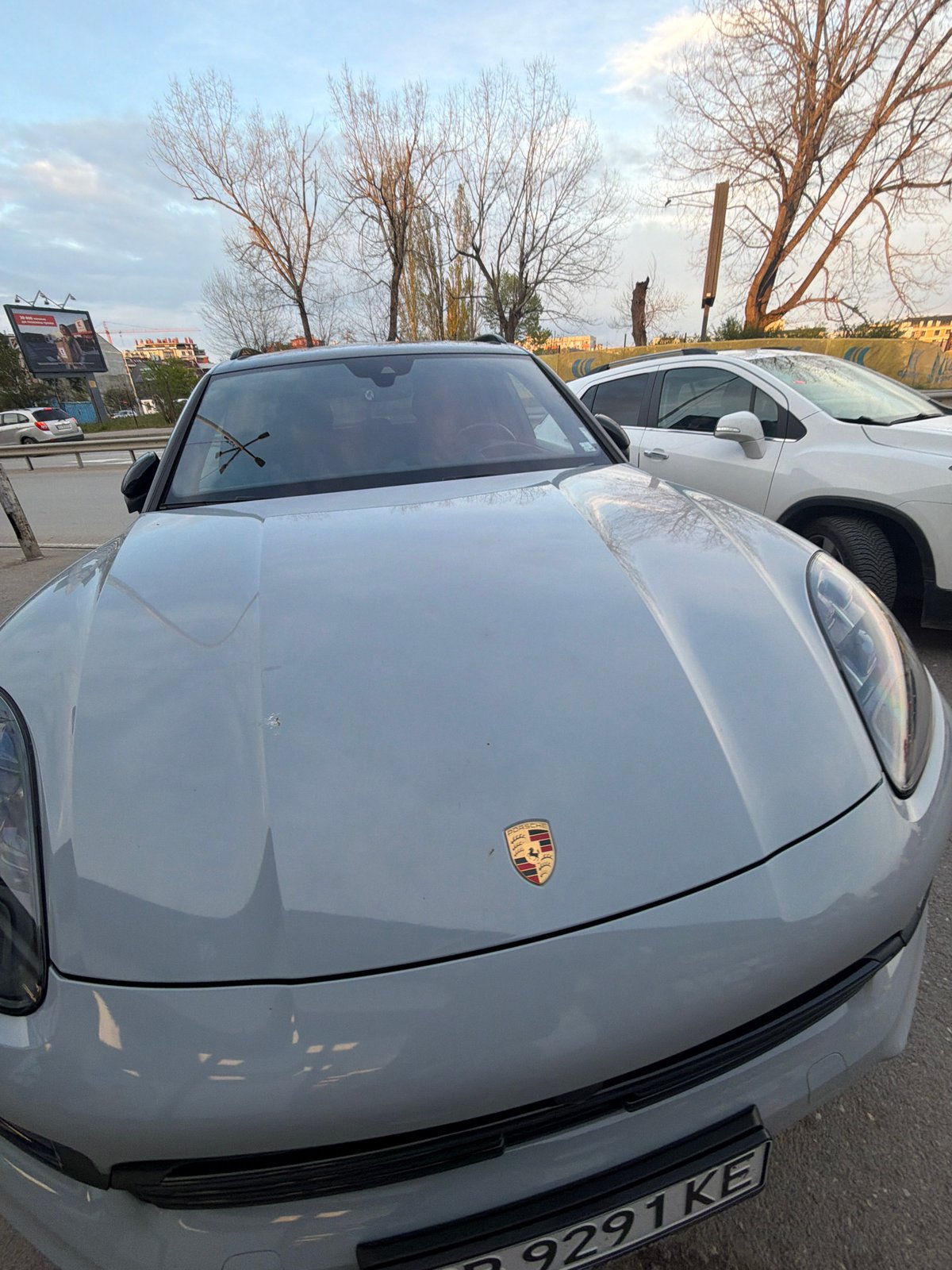 Porsche SUV and ornate lion statue observed in Sofia