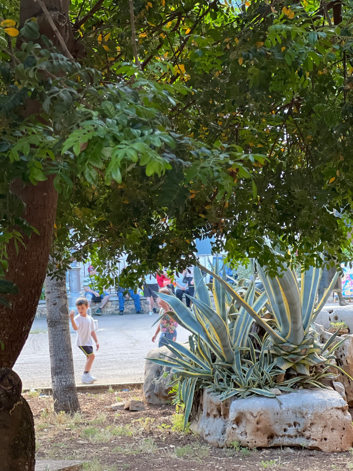 Tourist documents afternoon stroll through historic Bitonto, Italy