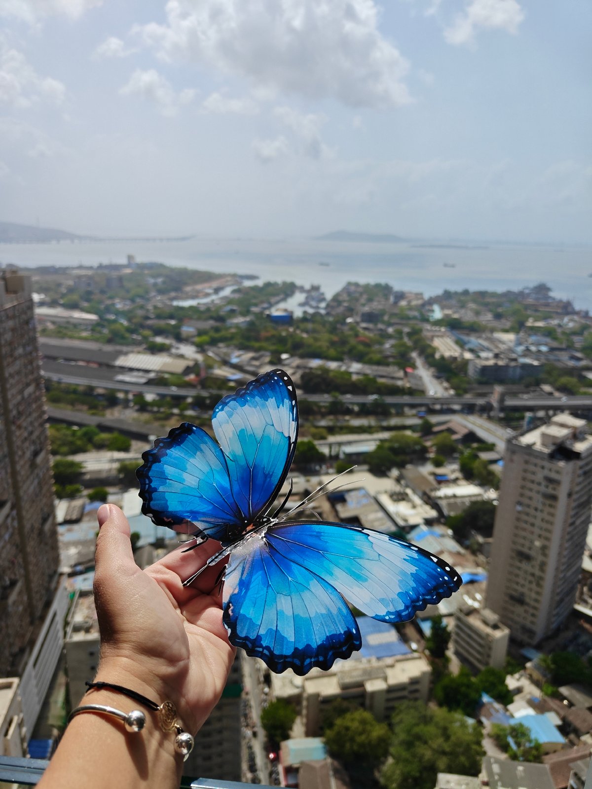 Artificial Blue Butterfly Displayed Over Mumbai Cityscape at Dawn