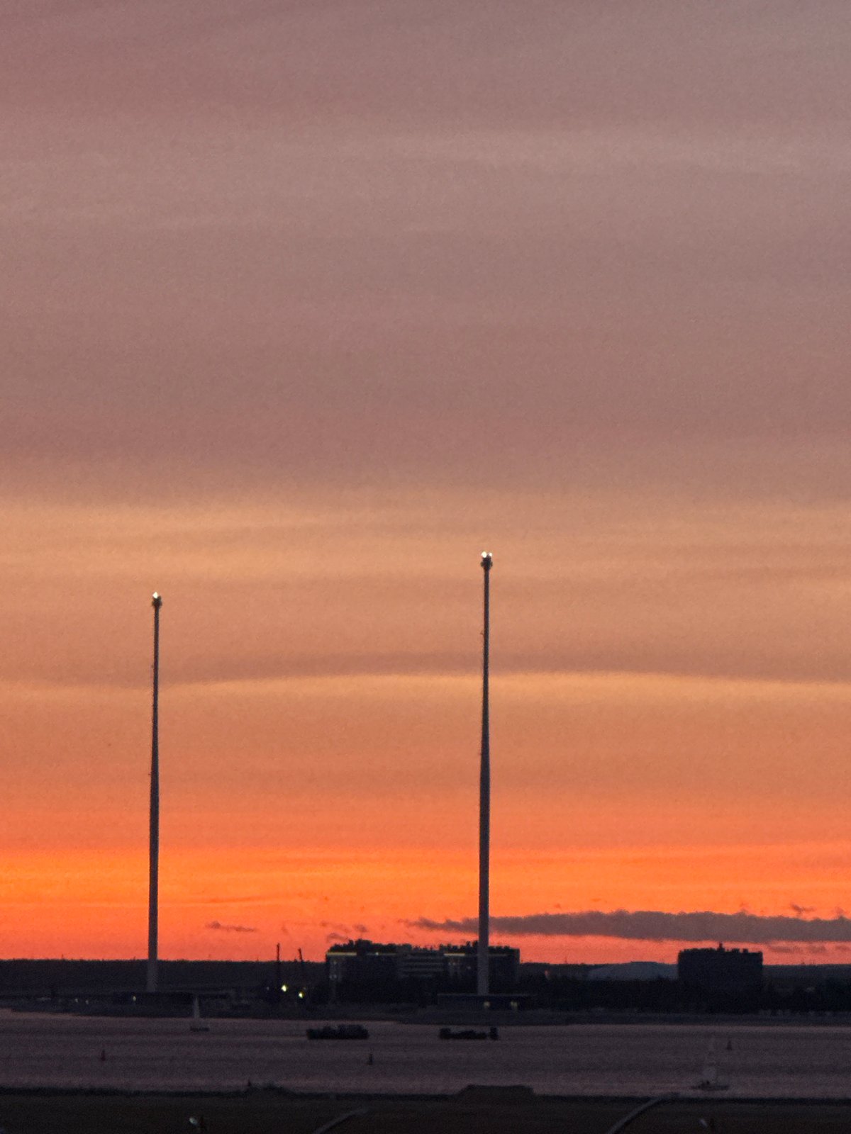 Saint Petersburg cable-stayed bridge at golden hour sunset