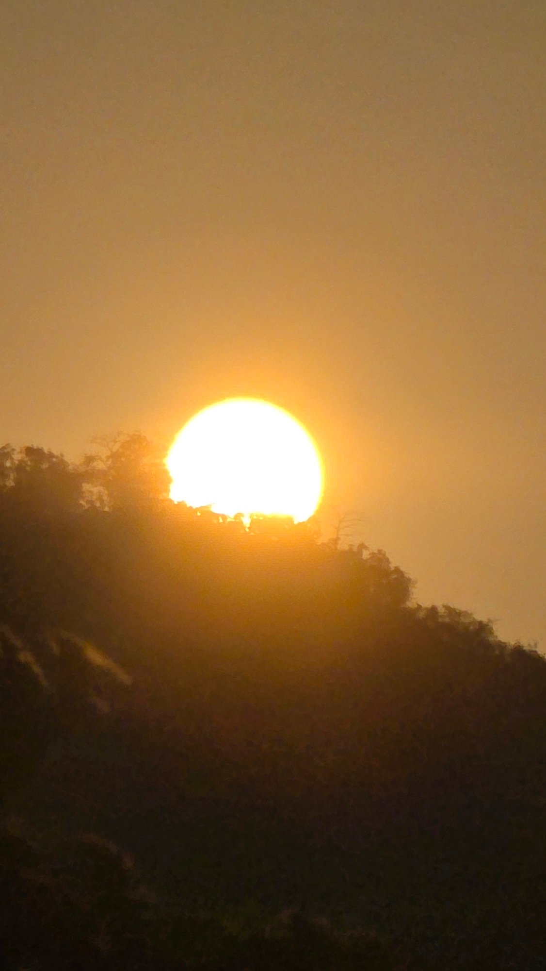 Golden sunset observed through vegetation at Vietnam heritage area