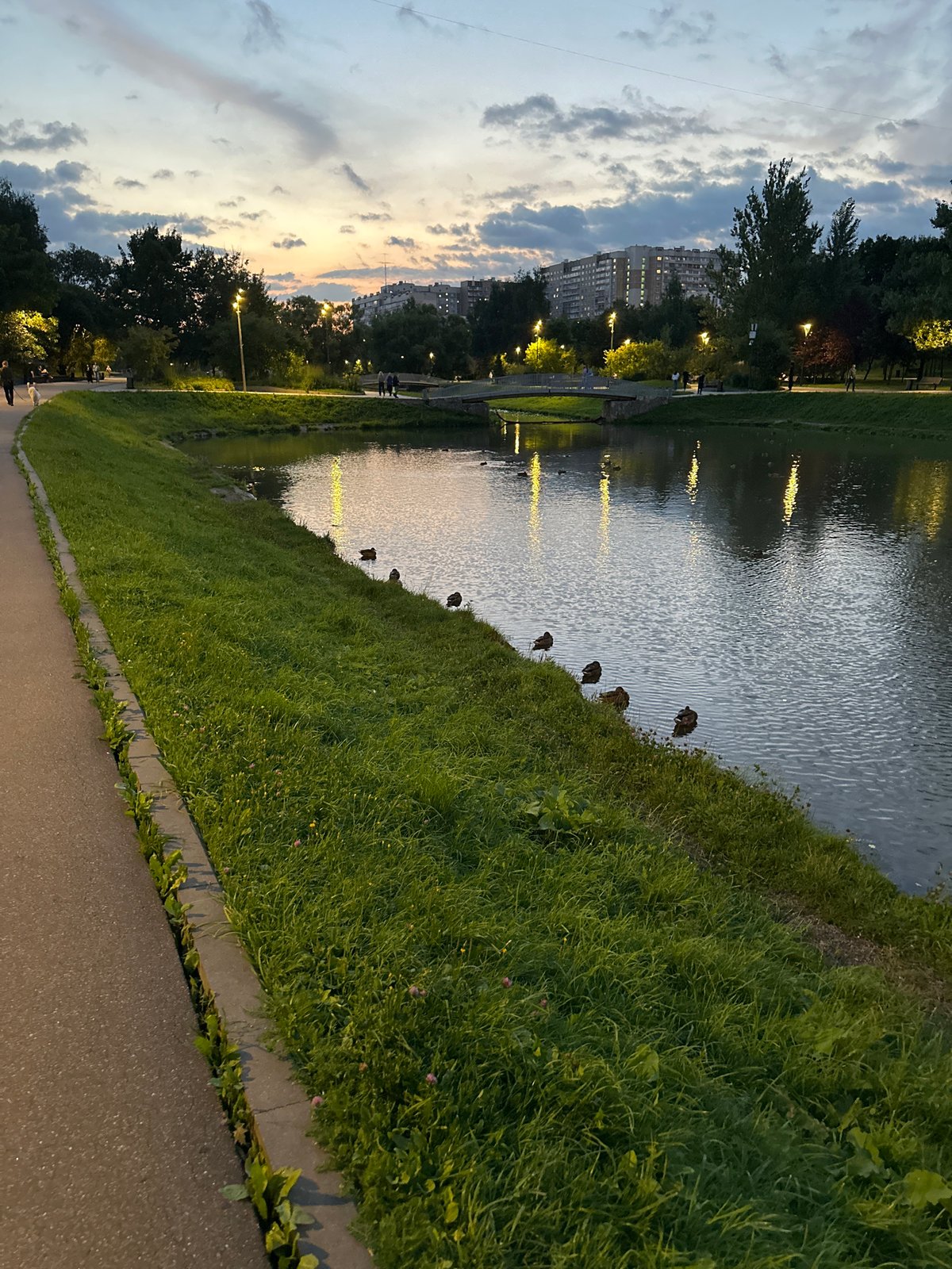 Moscow park at dusk: waterfront paths and a lit soccer field