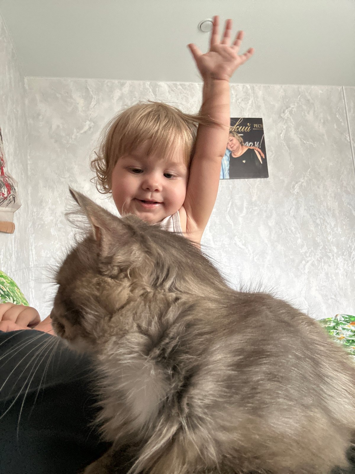 Children play with cat, trampoline in Russian village backyard