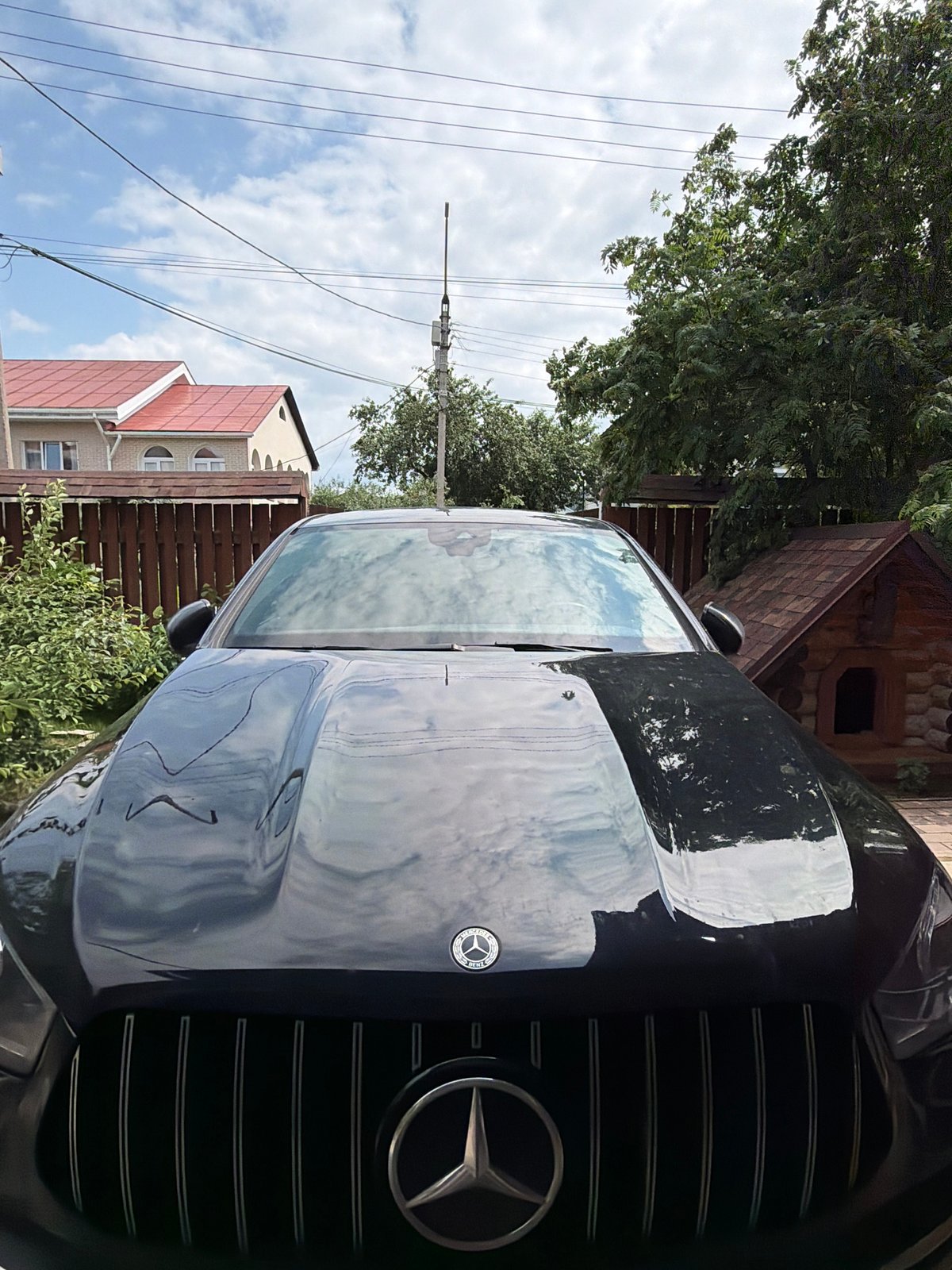 Car wash day at a Chaikovsky dacha, cats and roses included
