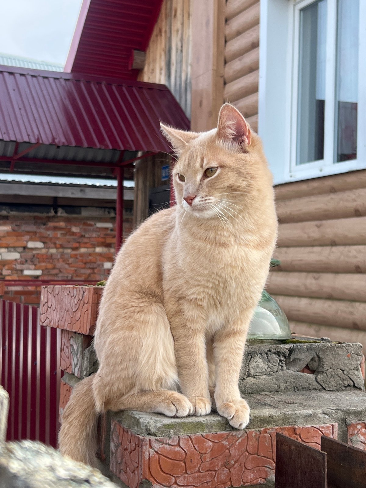 Quiet Morning Moments Documented in Rural Russian Village