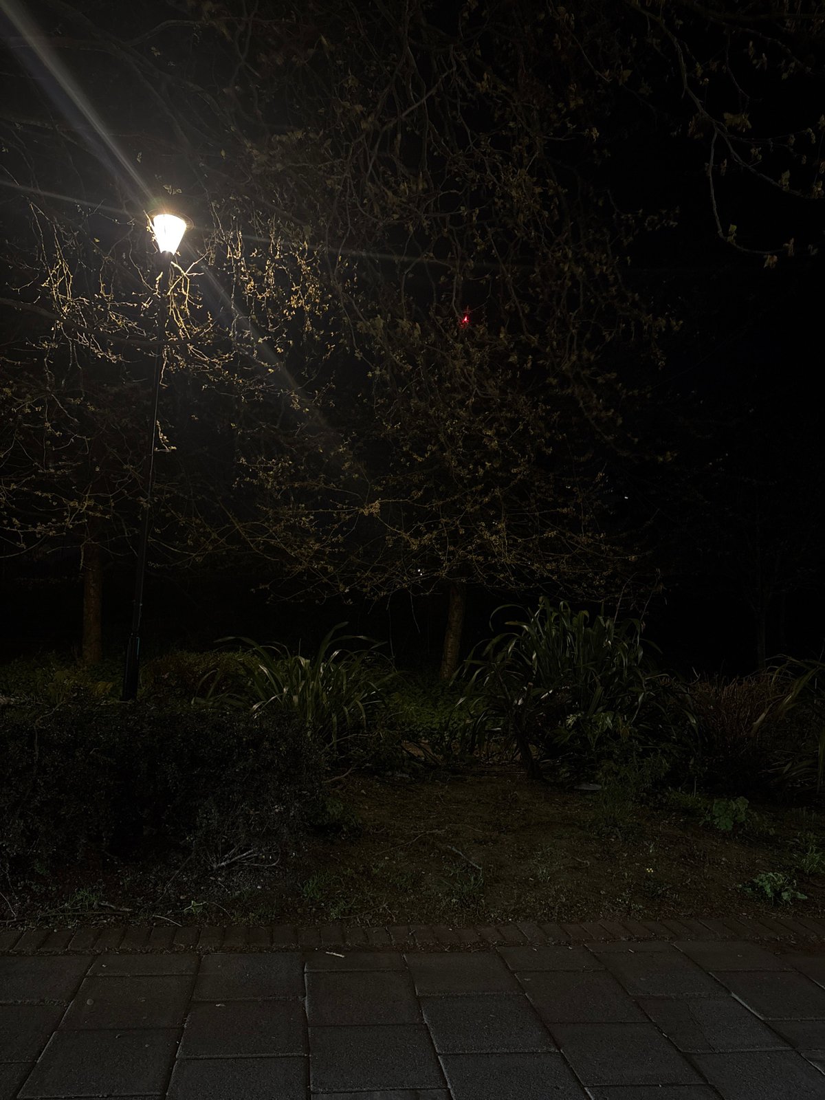 Nighttime street scene captured in London
