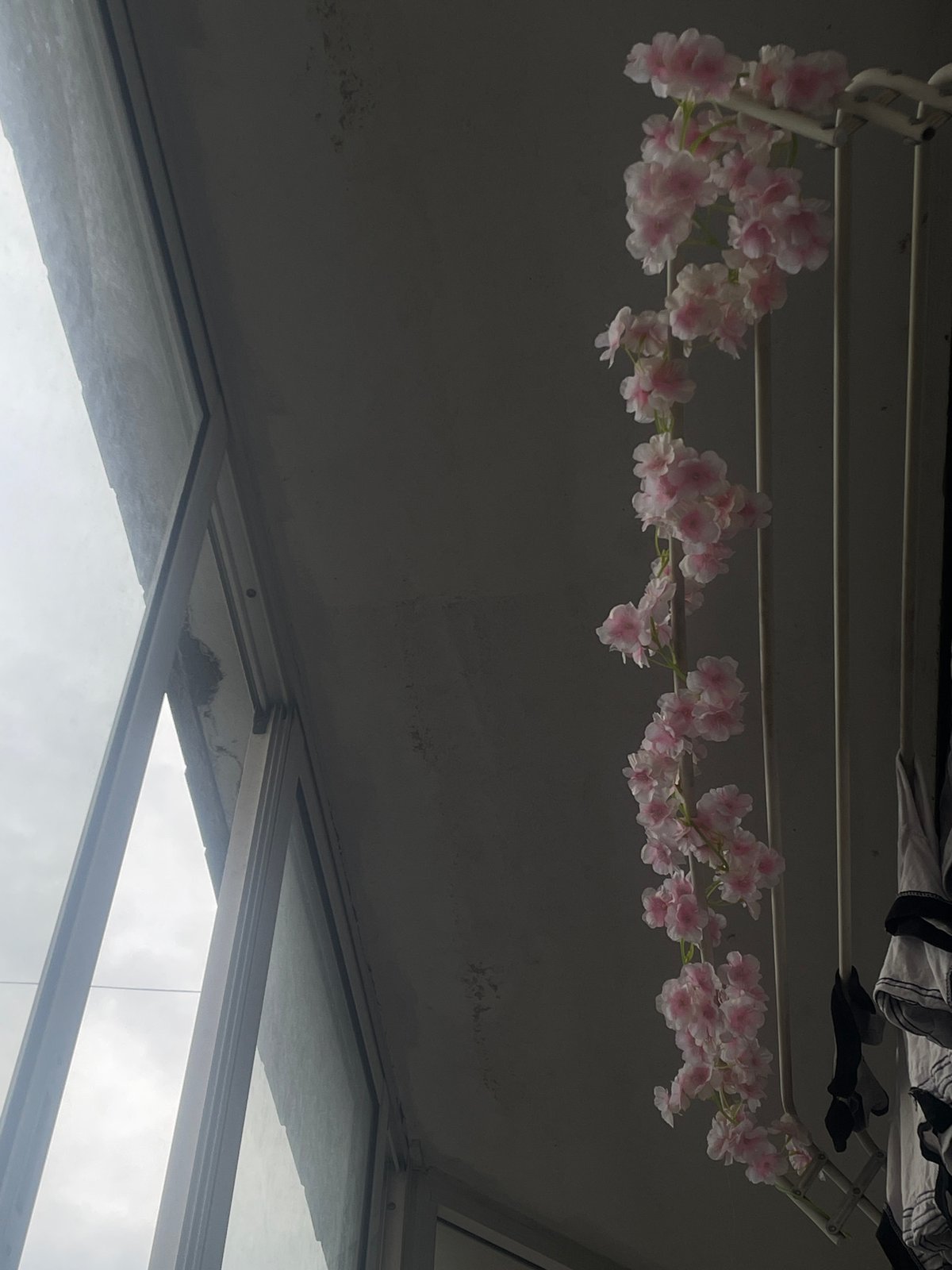 Russian resident documents home decorations featuring artificial blossoms, anime posters
