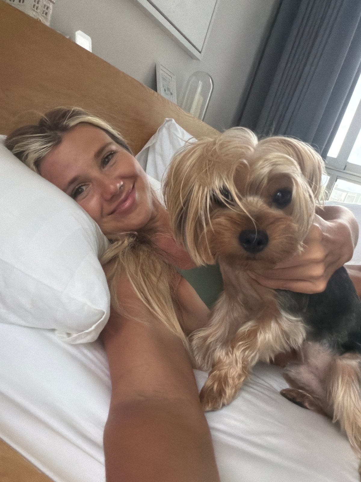 Yorkshire Terriers and a tennis ball on a rumpled bed in Thailand