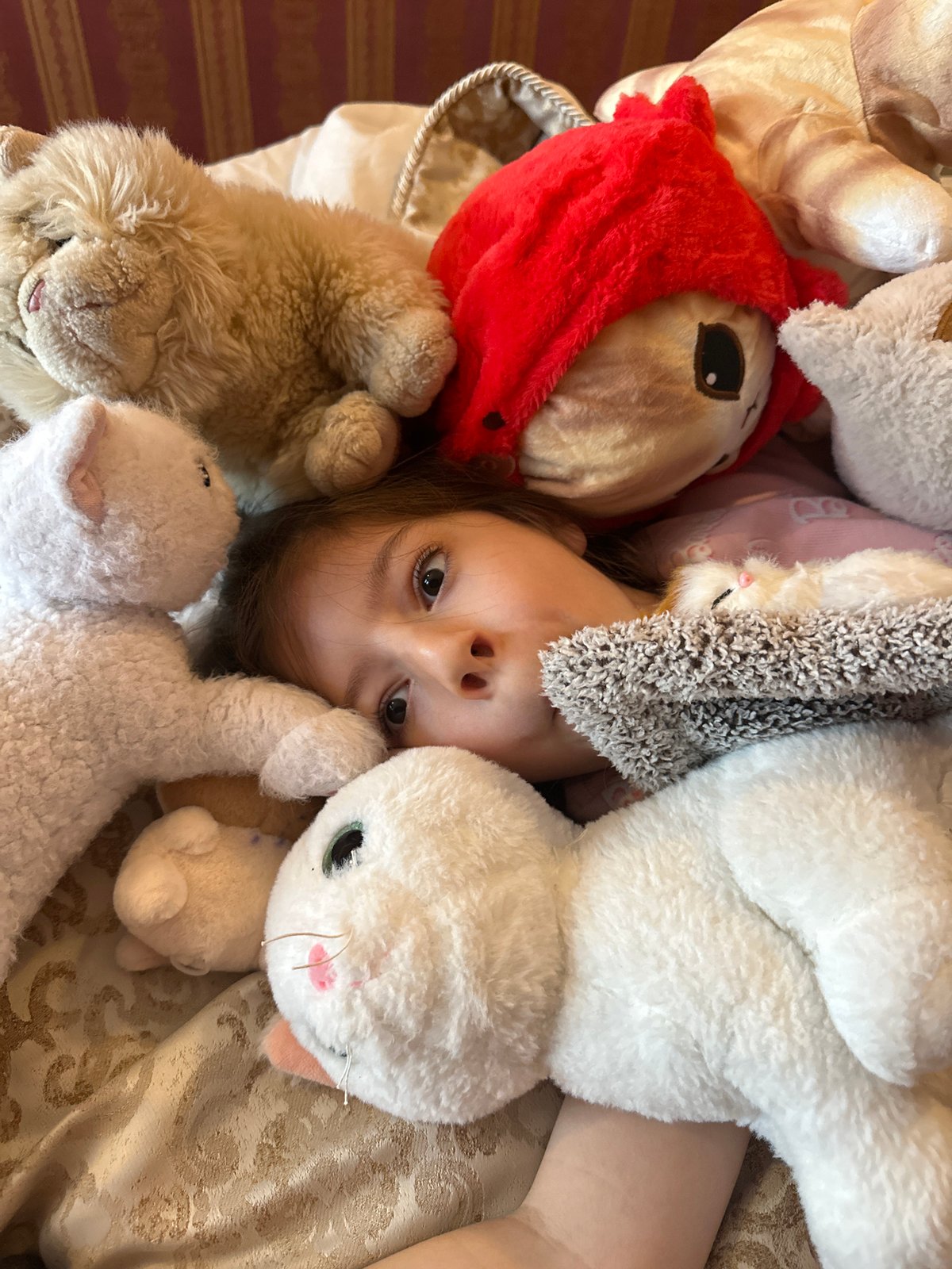 Girl plays with stuffed animals, woman makes sandwich in Esenyurt