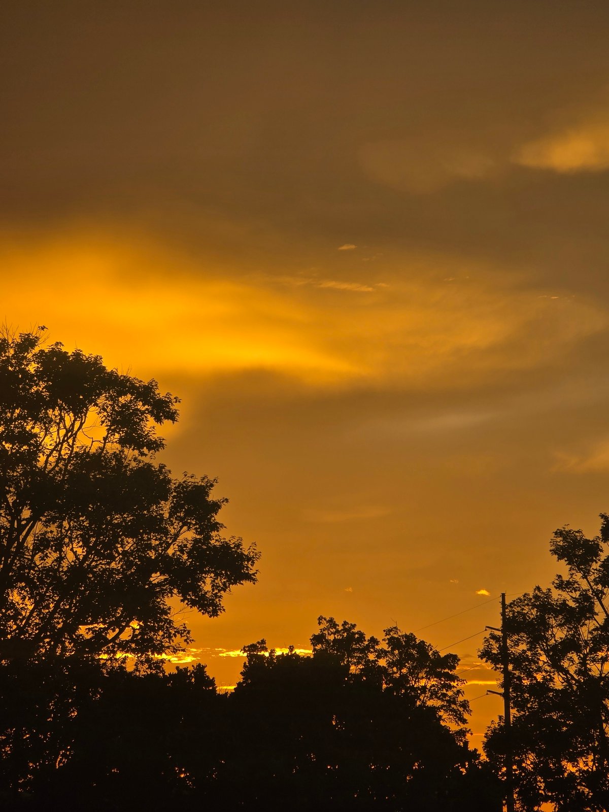 Fiery sunset sky over Woodstock, Georgia