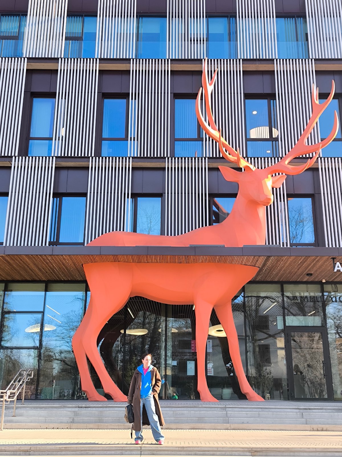 Woman photographed at children's hospital with colorful animal sculptures