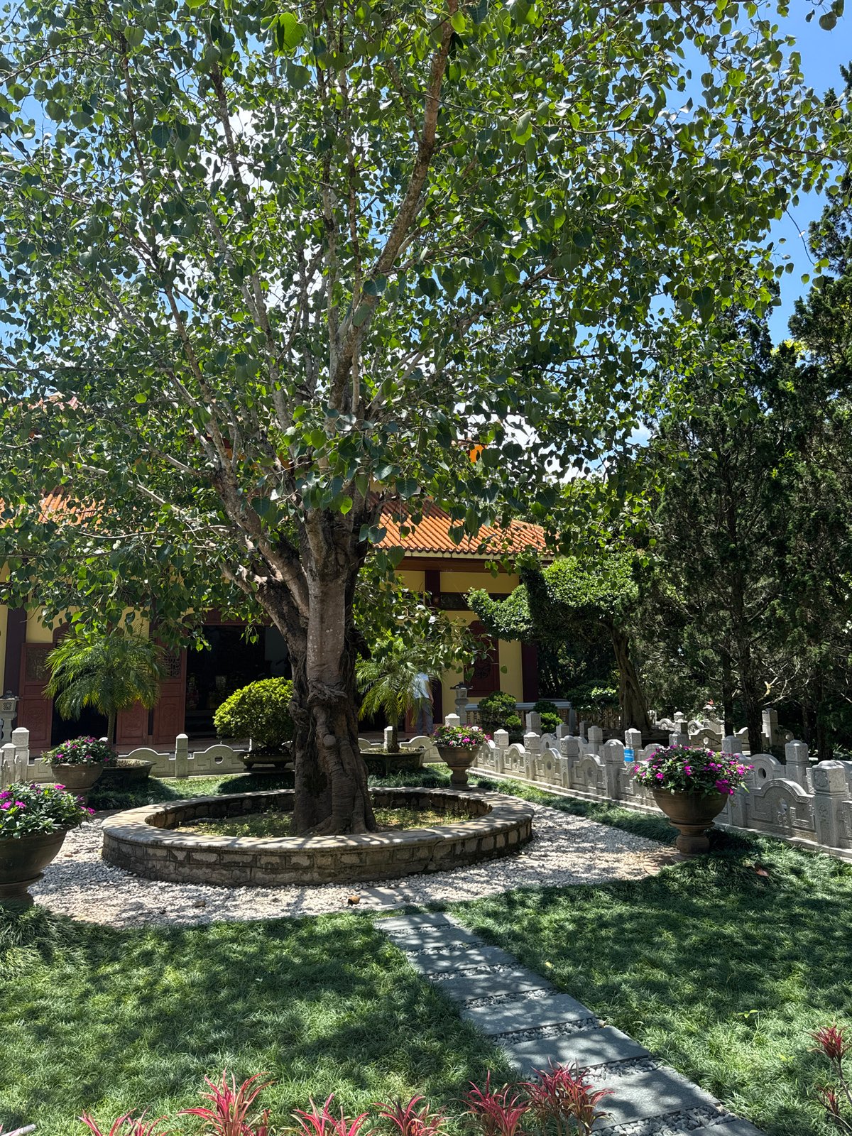 Temple visit in Da Lat with monks and traditional architecture