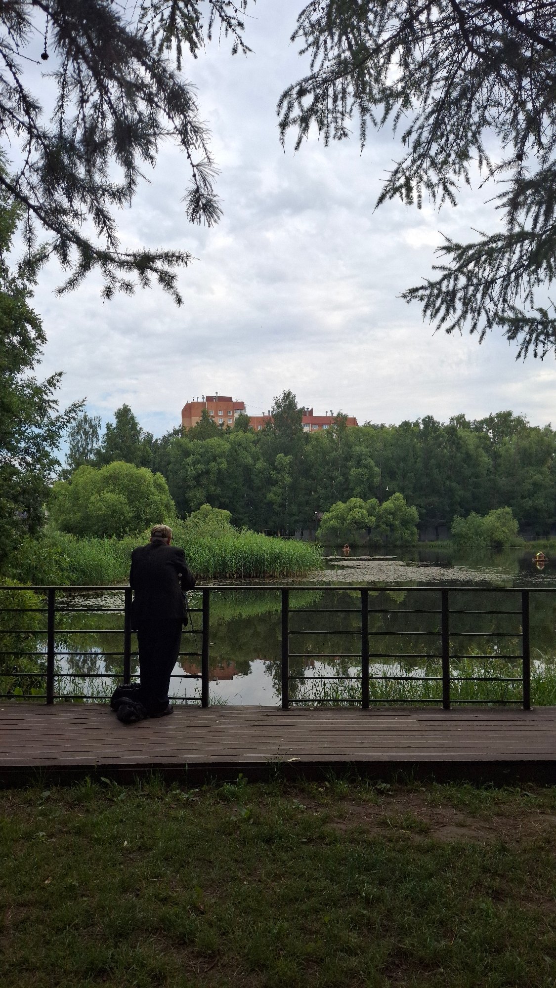 Lazy summer morning at a Saint Petersburg lakeside park