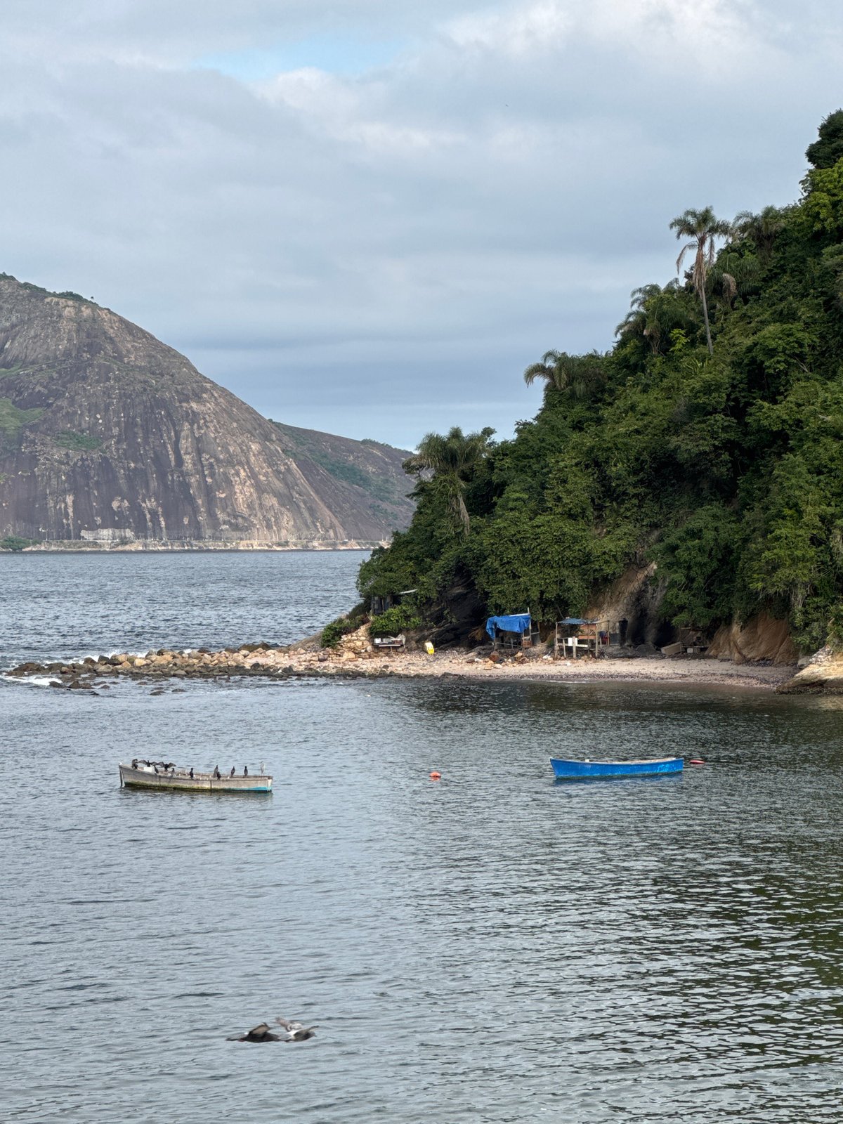 Calm but debris-strewn beach along Niterói's coastline