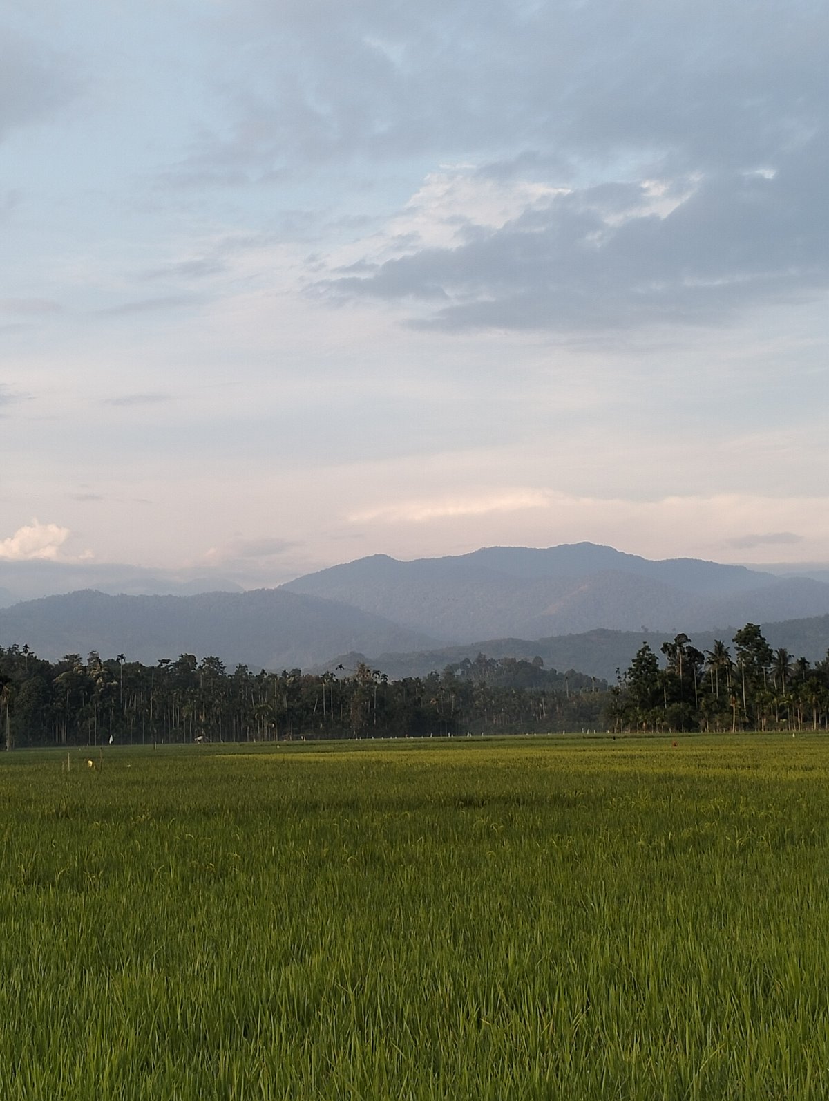 Sunset rural scenes documented in Meunasahalue, Indonesia