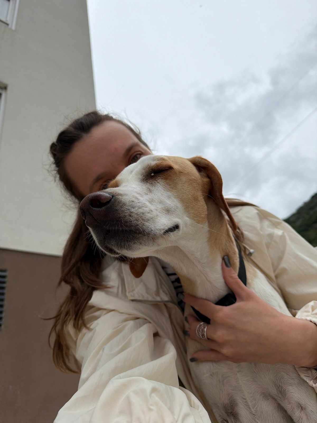 Woman with dog, schoolchildren boarding bus captured in Budva