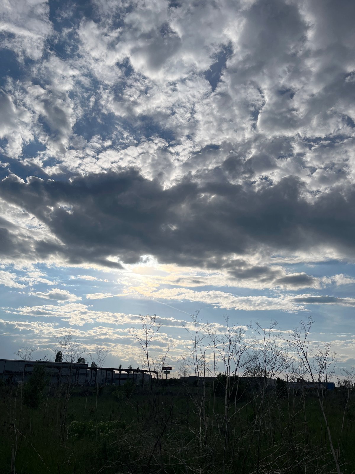 Sofia resident documents afternoon scenes across Bulgarian capital
