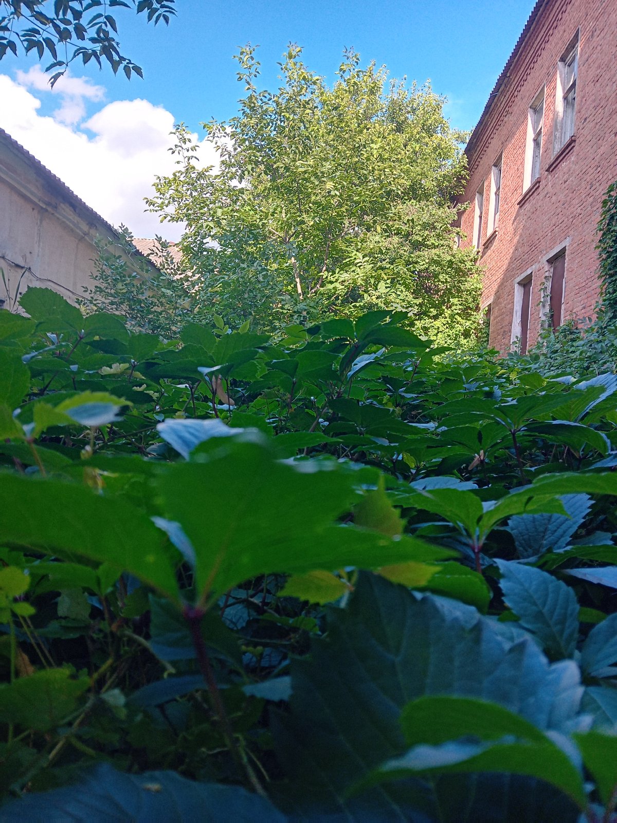 Quiet streets and old brick in Chuhuiv on a summer afternoon