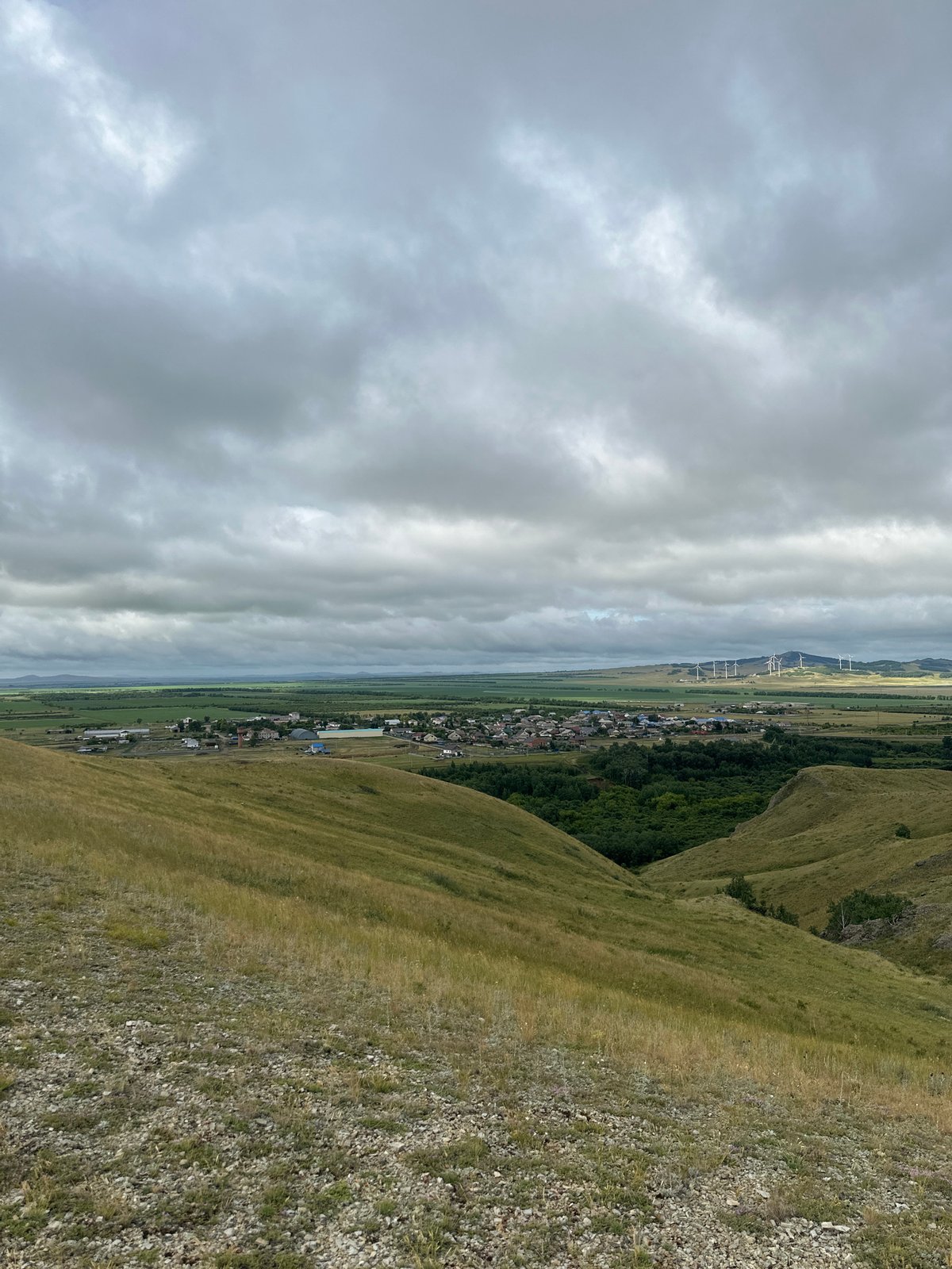 Sweeping steppe hills and wildflowers outside Kokshetau, Kazakhstan