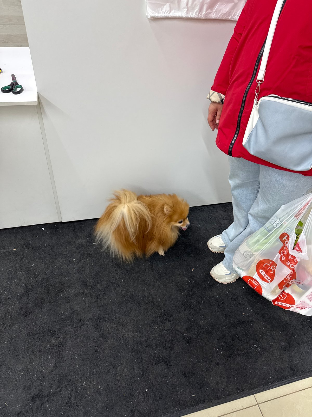 Morning documentation of everyday Moscow urban life scenes