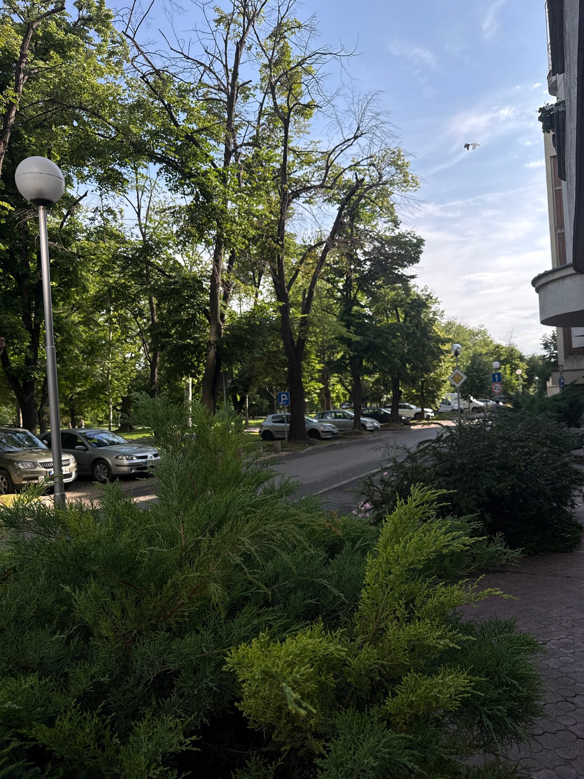 Early morning street scenes documented in Ruse, Bulgaria