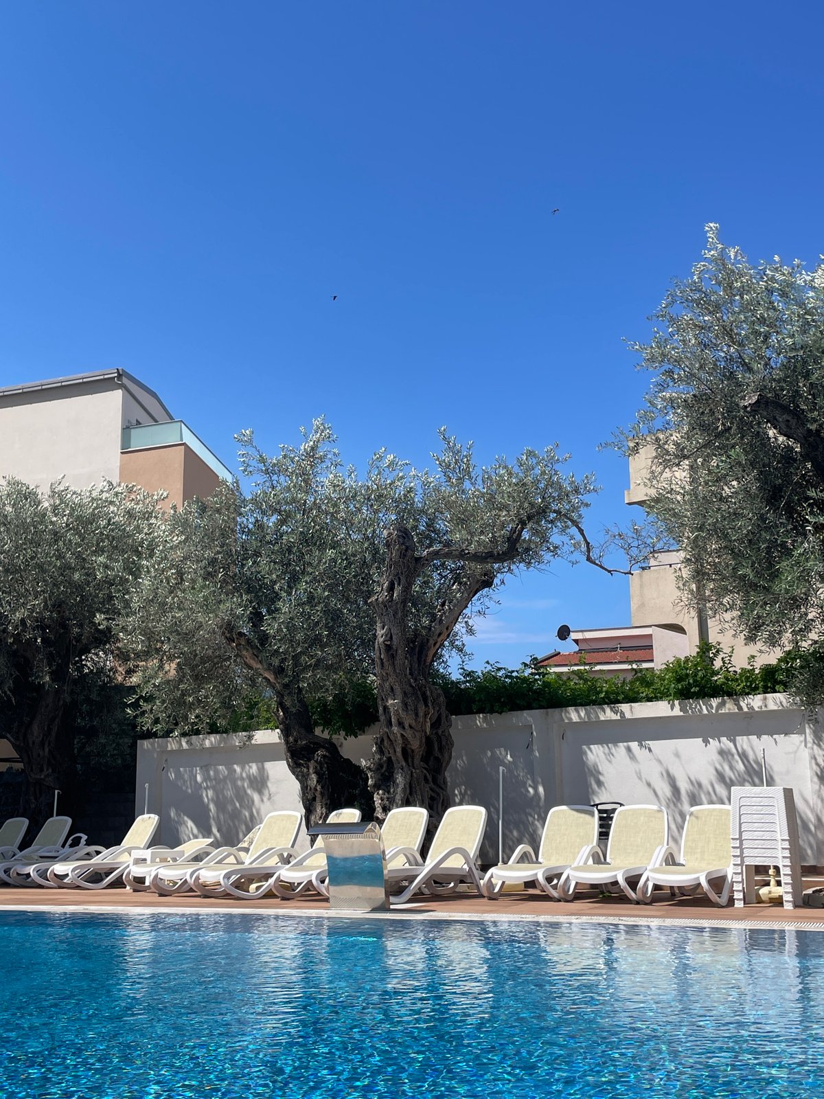 Morning scenes from Bar Montenegro captured by lone witness