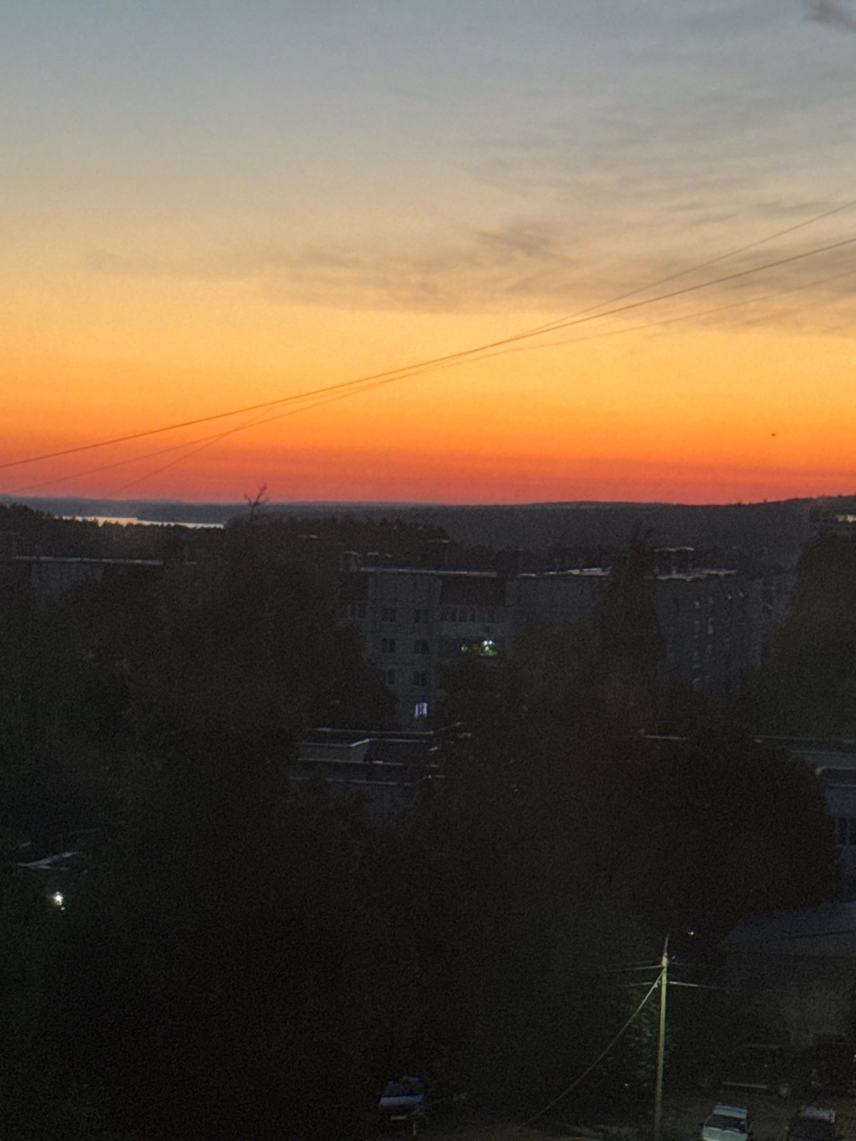 Chaikovsky resident documents twilight evening with pets at home
