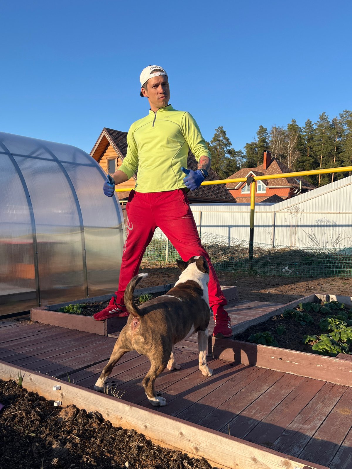 Colorfully-dressed man does yoga with Bull Terrier in Chaikovsky backyard