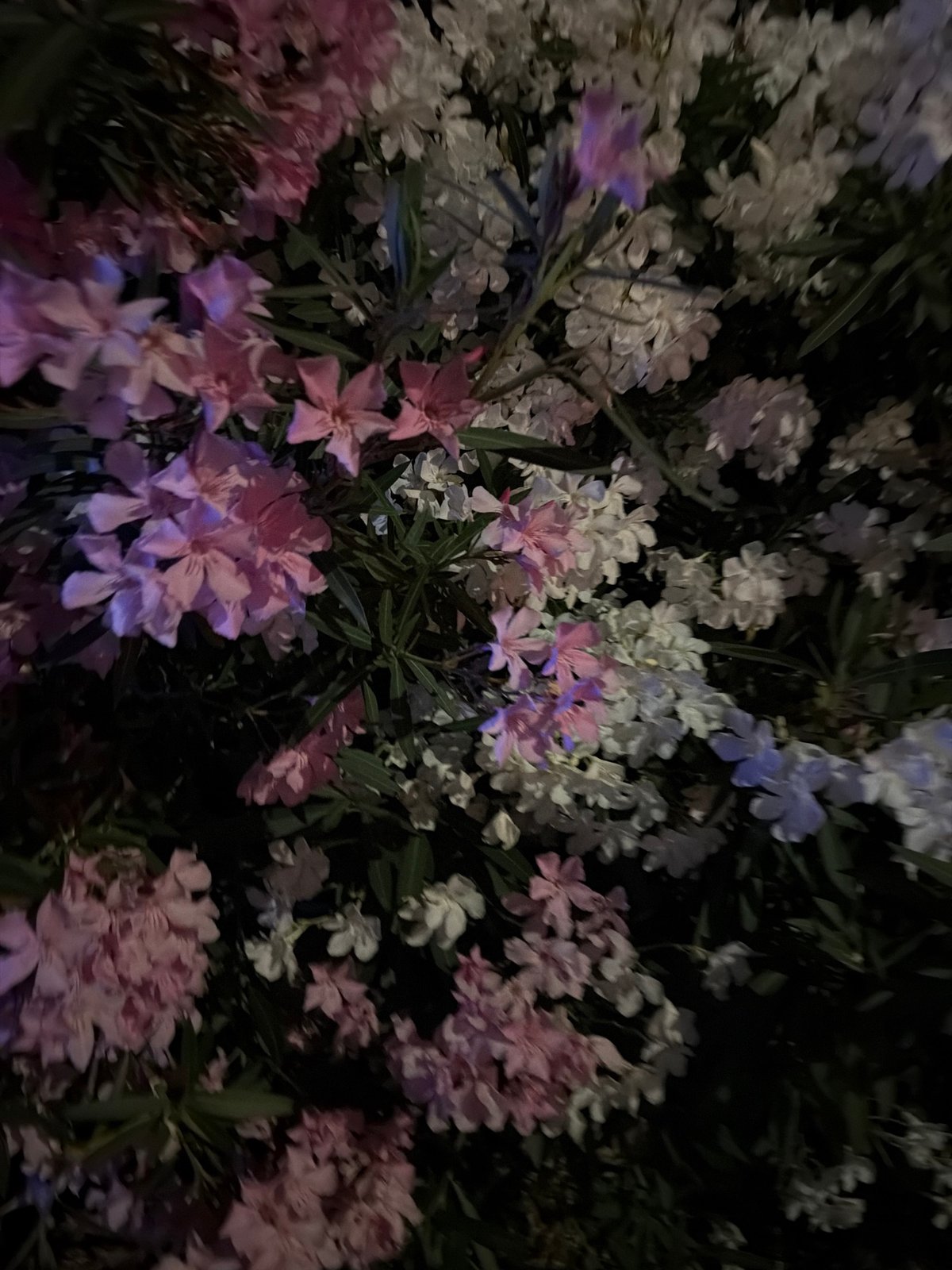 Night drive through Sant Antoni de Portmany, Ibiza streets