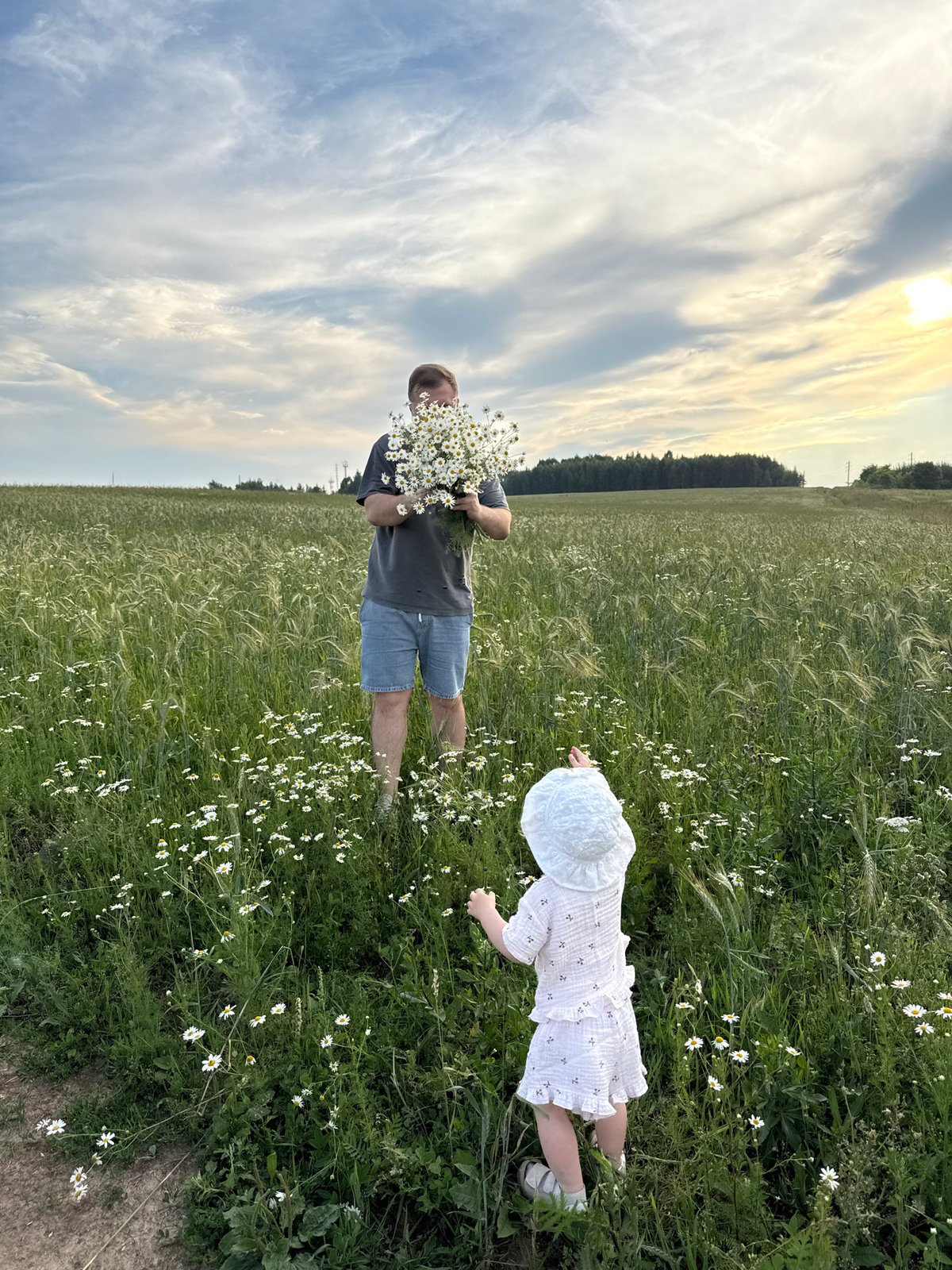 Afternoon in a daisy field in Snovitsy, Russia.