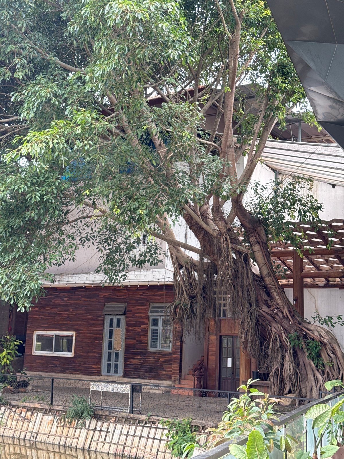 Tourist documents waterfront restaurant grounds in Phú Thạnh, Vietnam