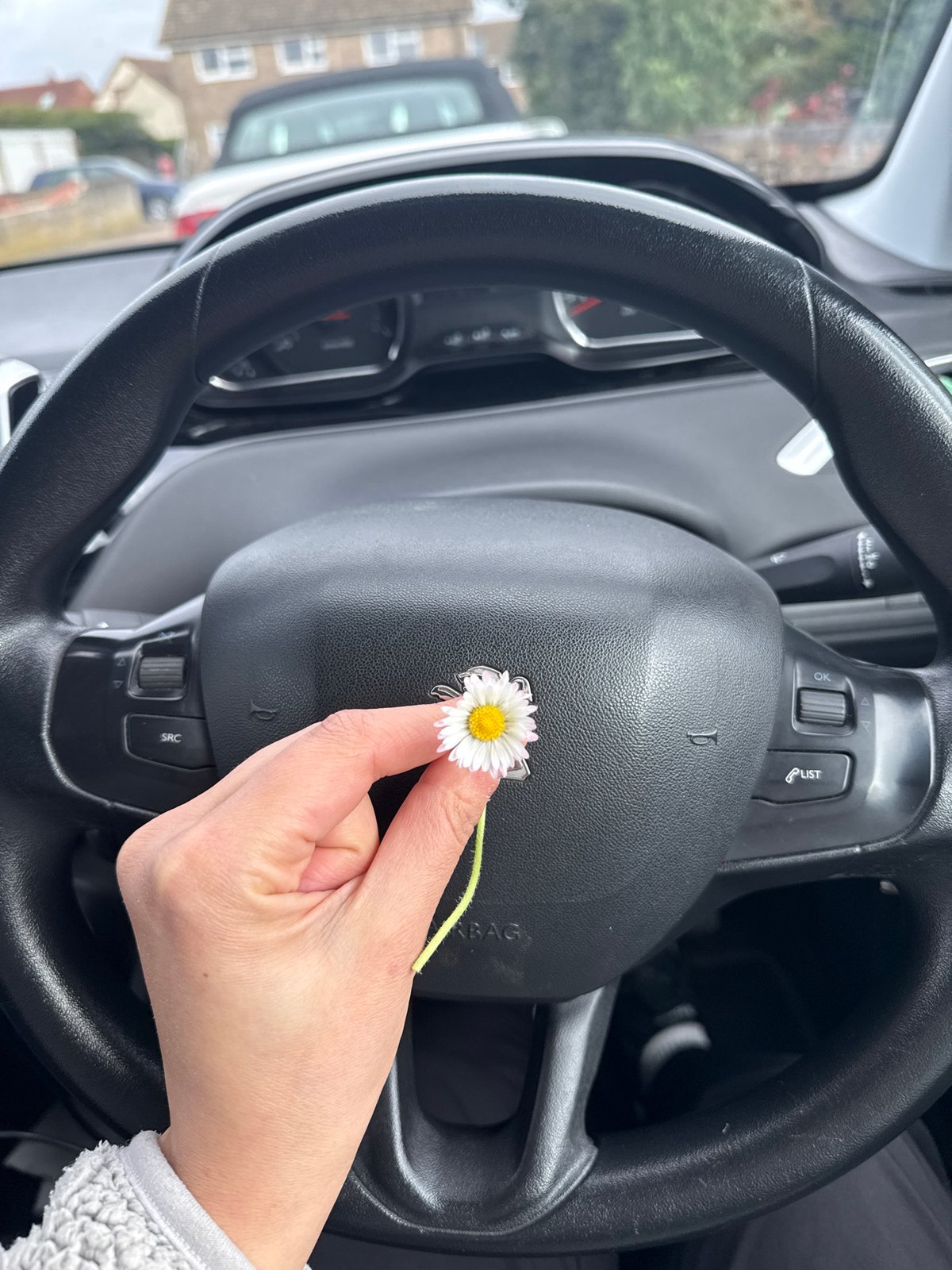 Driver holds daisy flower inside car in Gorleston-on-Sea