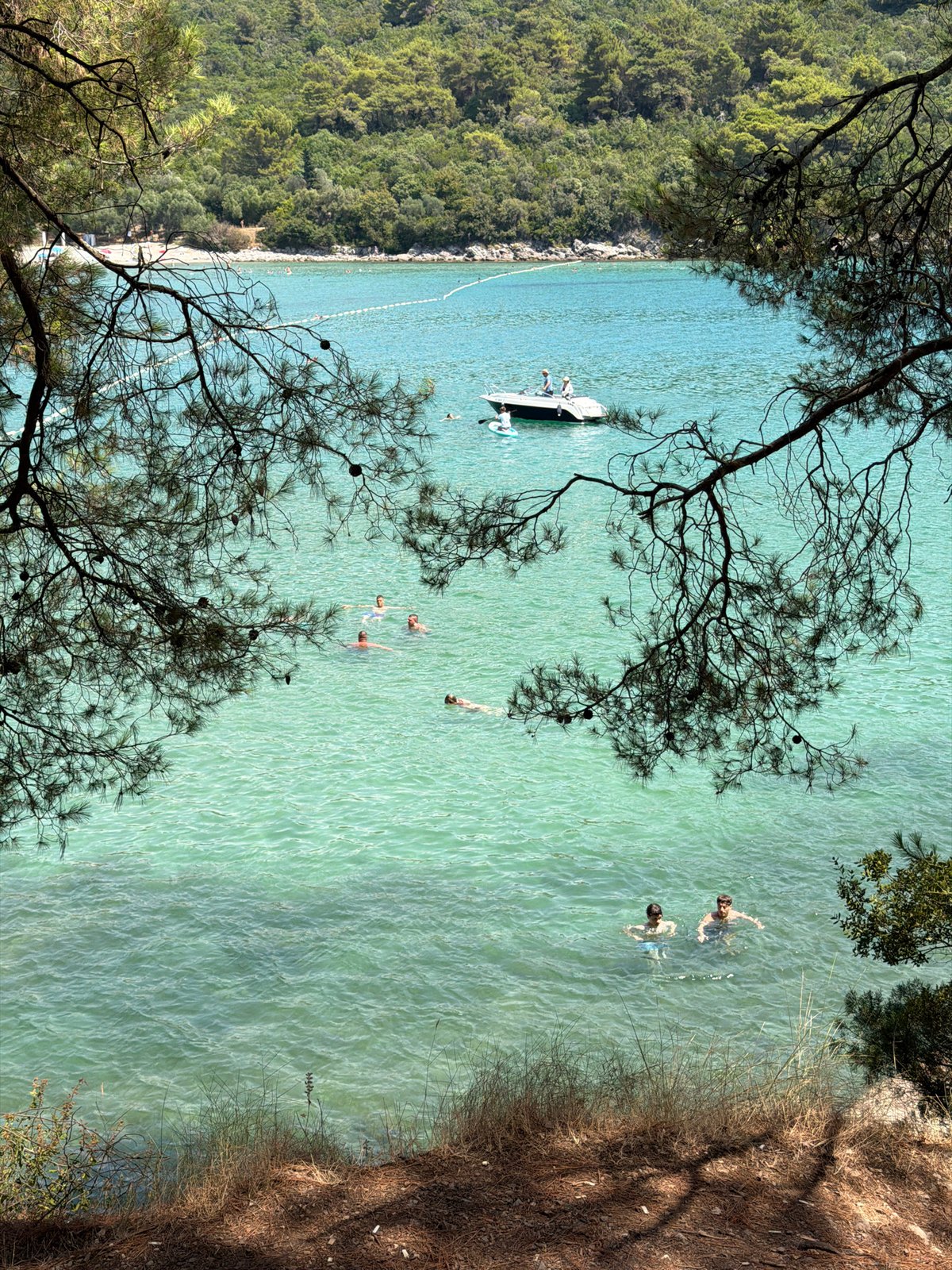 Sunny afternoon on Bigova's pine cliffs above the Adriatic