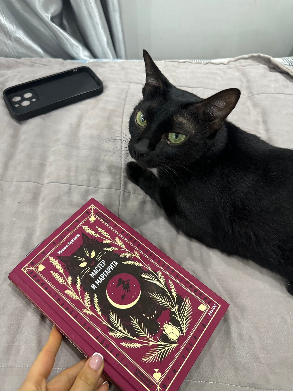 Woman and black cat share quiet afternoon in Mũi Né