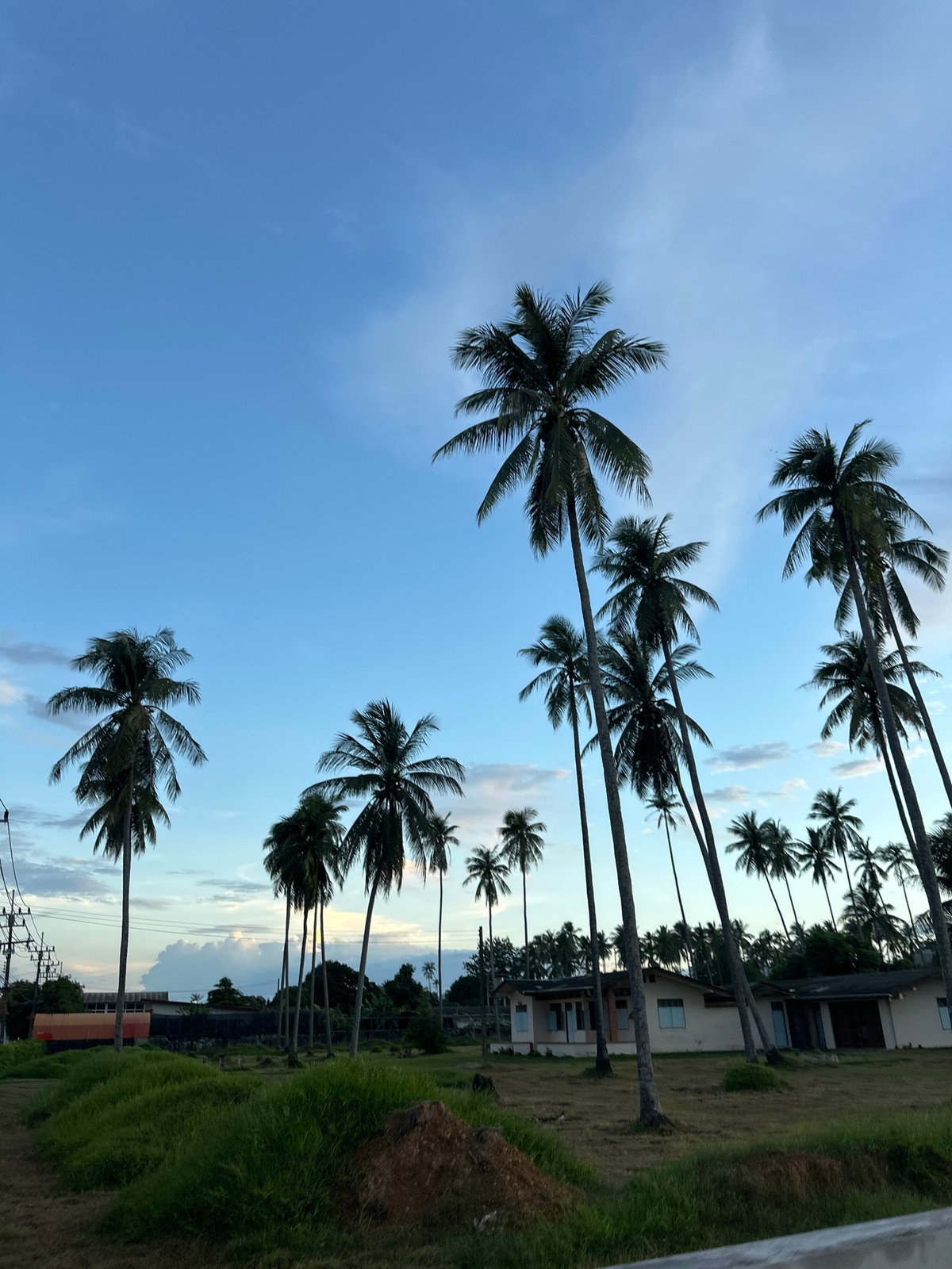 Daily life documented in Rawai, Thailand streets and infrastructure