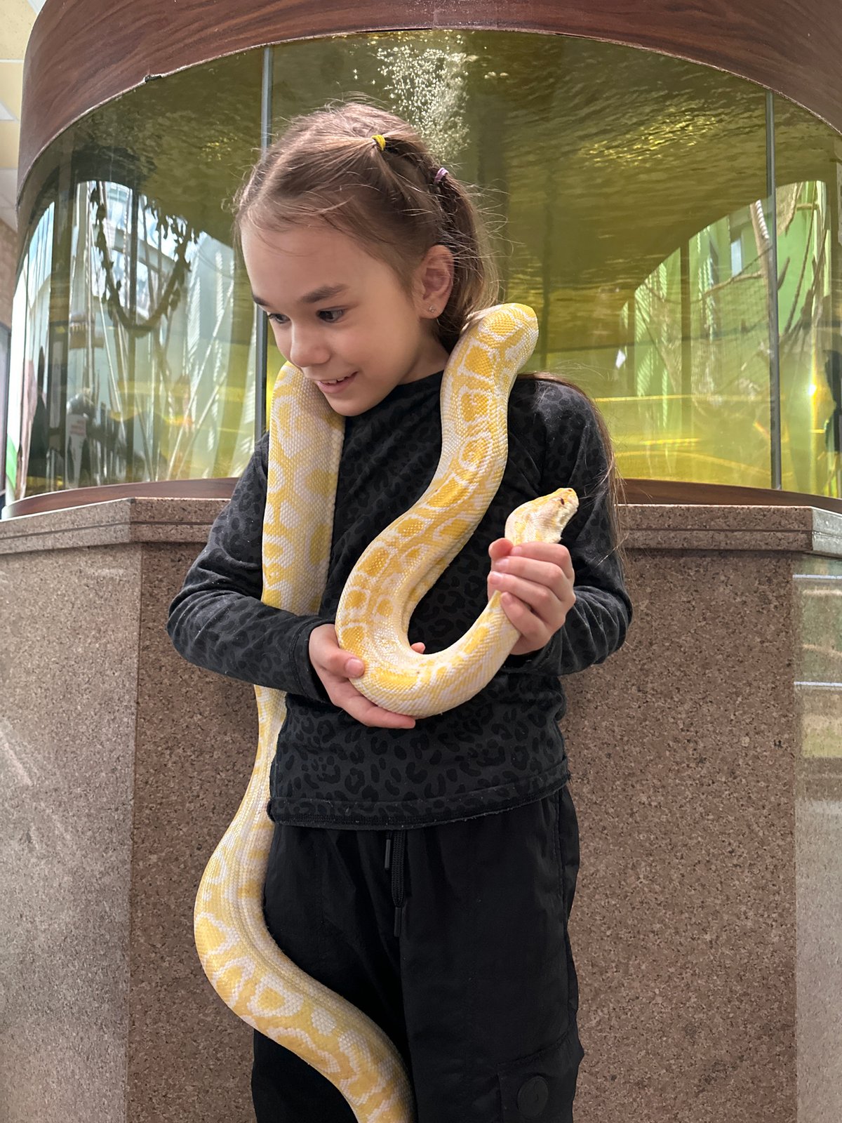 Girl poses with snake at zoo facility