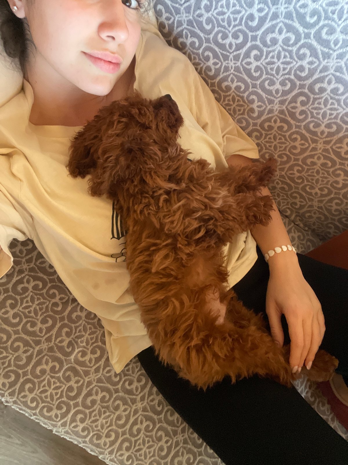 Sofia resident documents puppy playtime and fresh bread baking