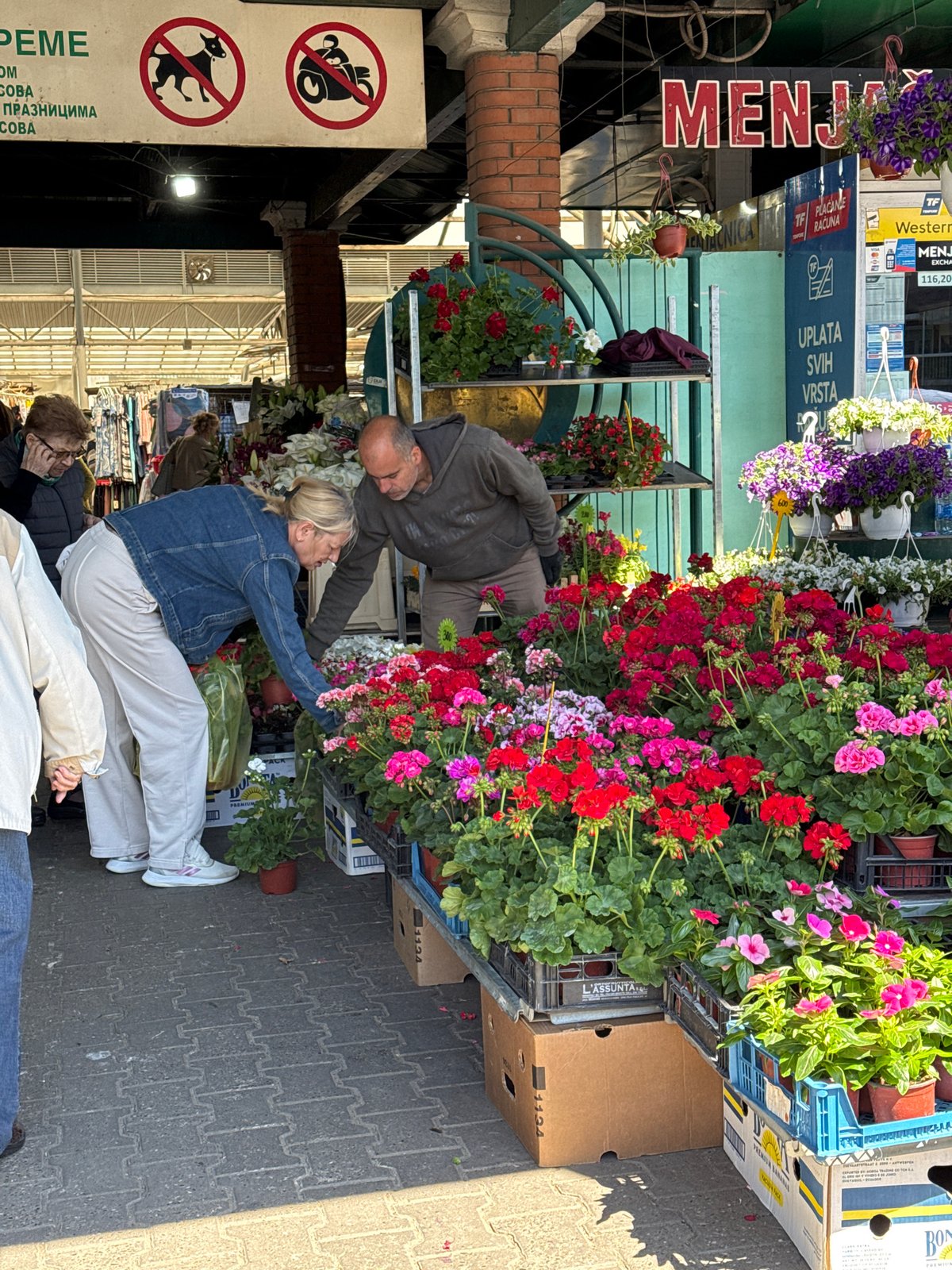 Morning flower market bustling in downtown Novi Sad