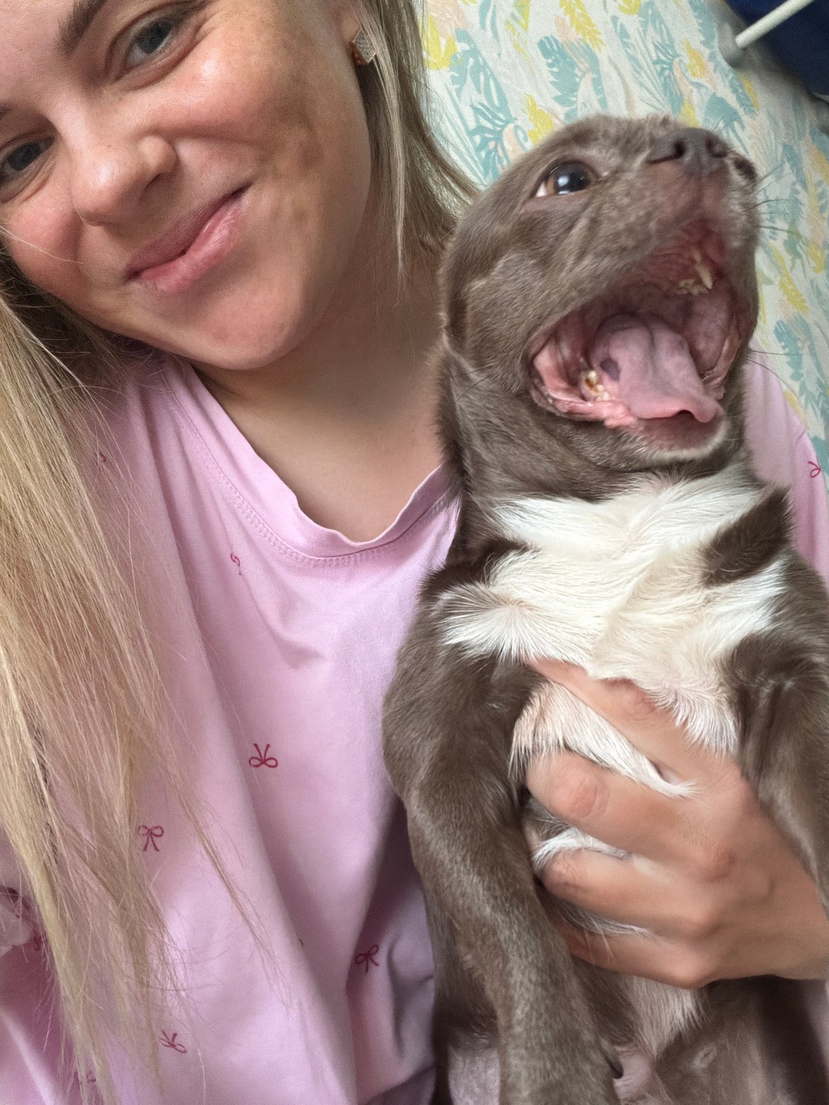 Woman cuddles French Bulldog in bedroom photos, Votkinsk Russia