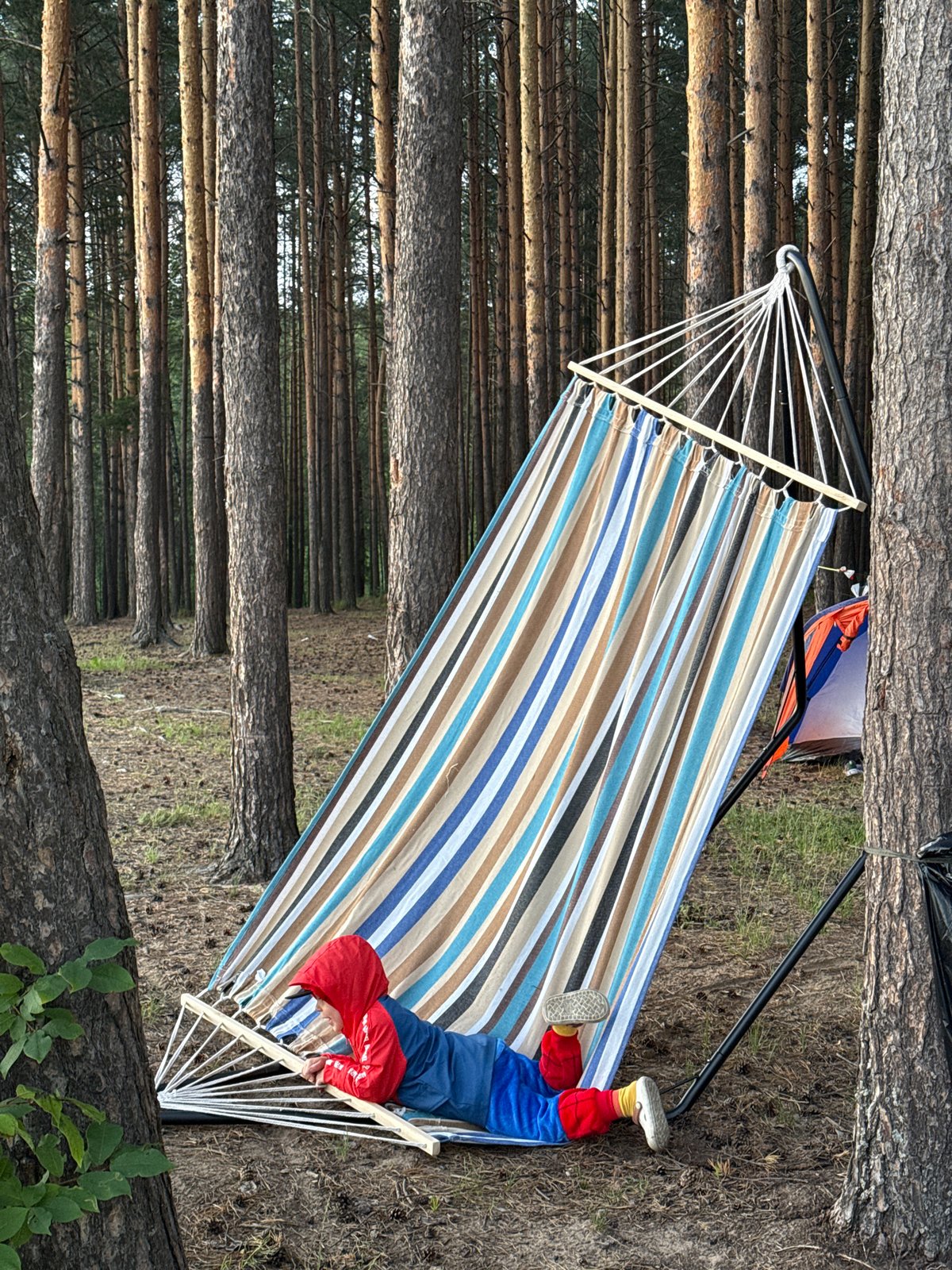 Camping scene documented in Russian forest near water