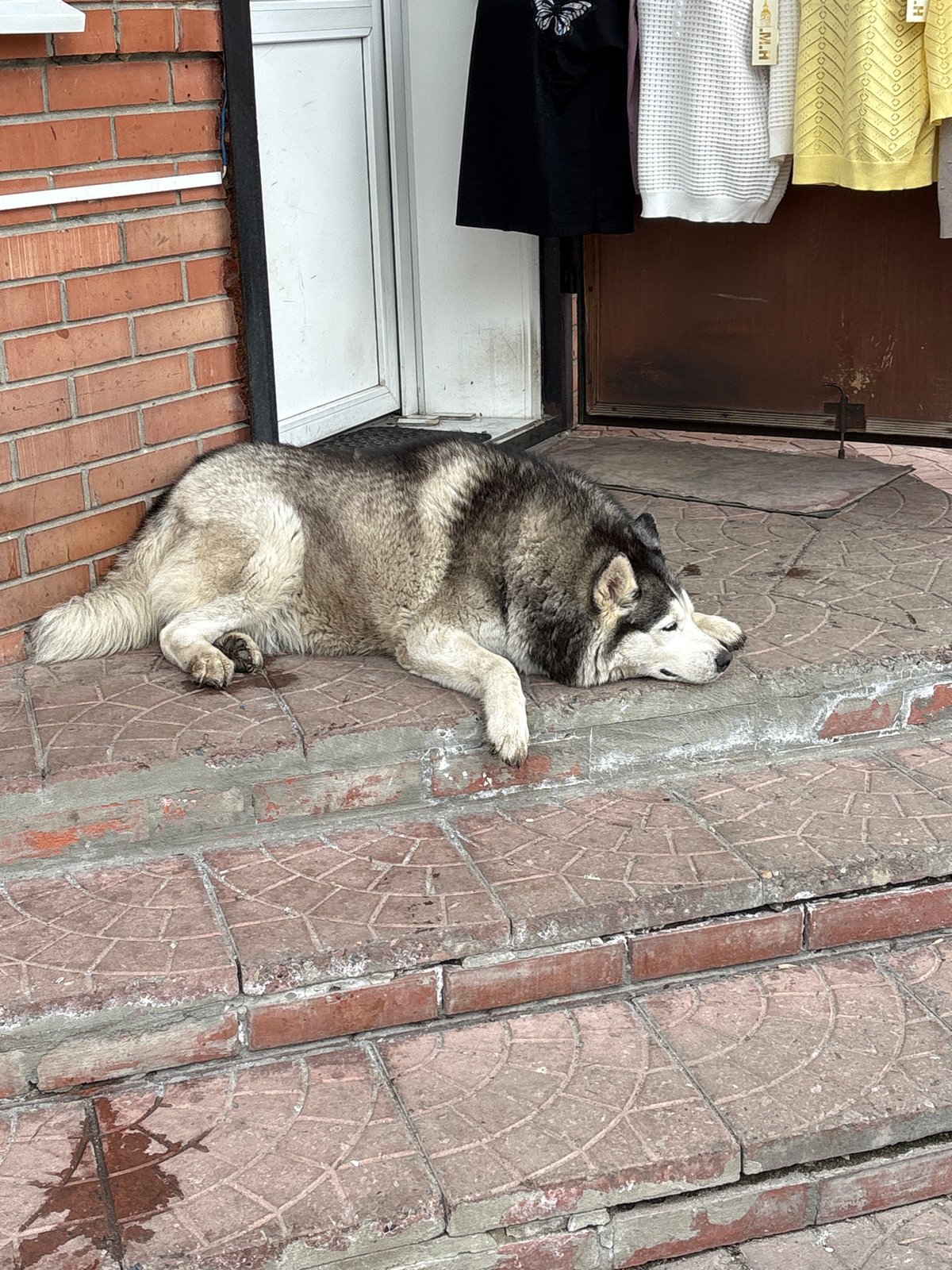 Daily life scenes captured in Ulyanovsk, Russia