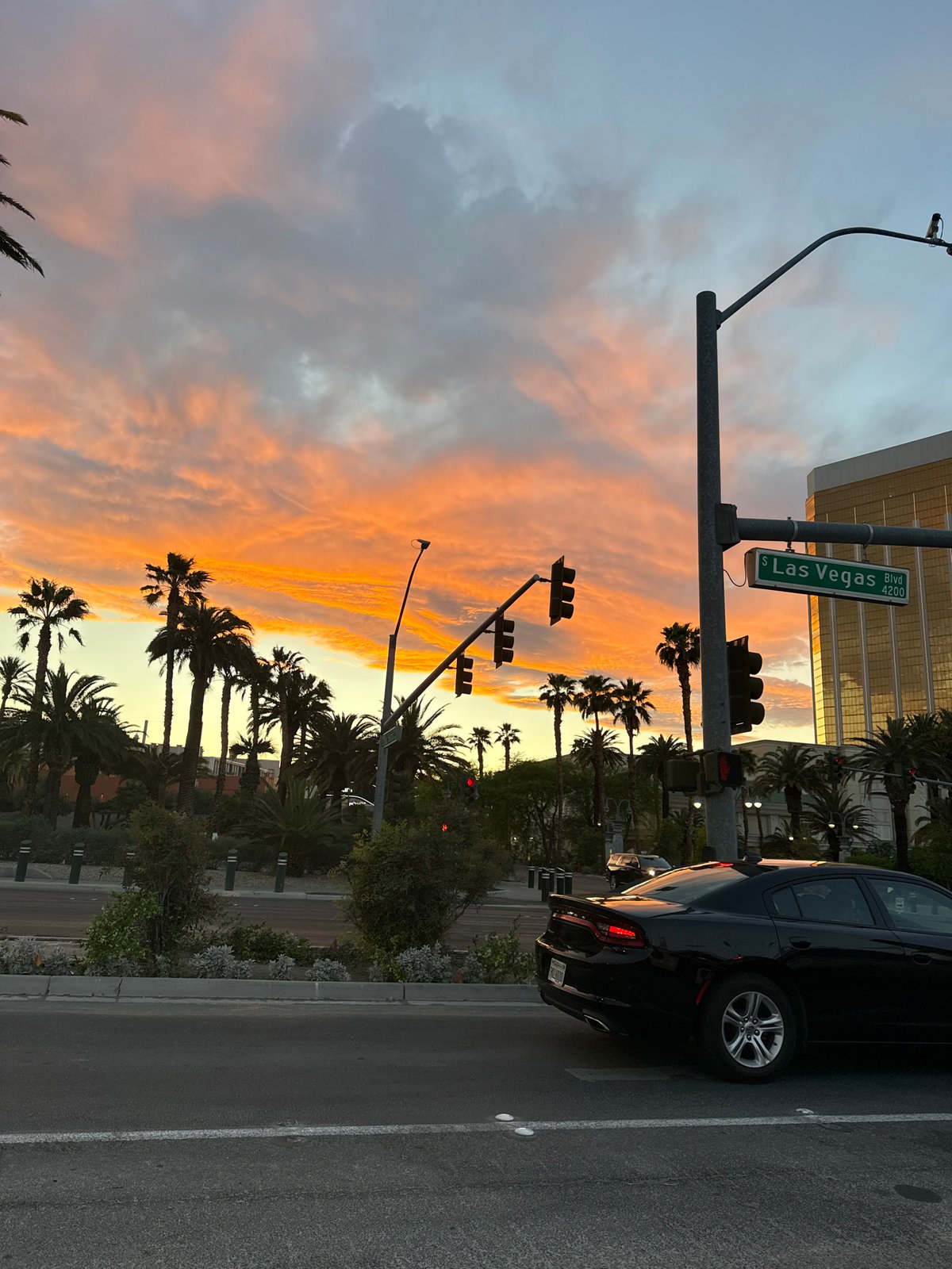 Vibrant sunset illuminates Las Vegas Boulevard palm trees