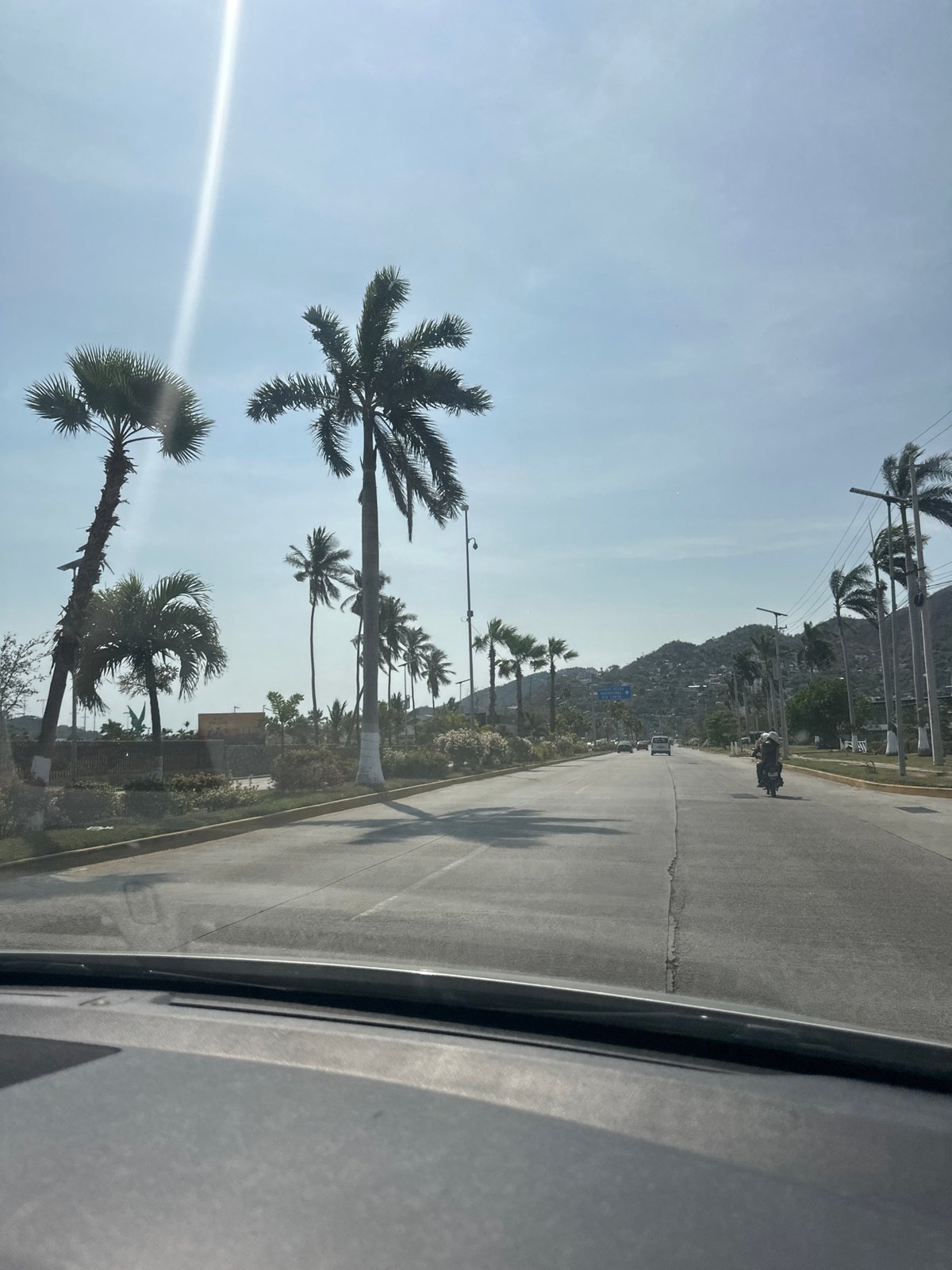 Evening drive along palm-lined road in Puerto Marqués