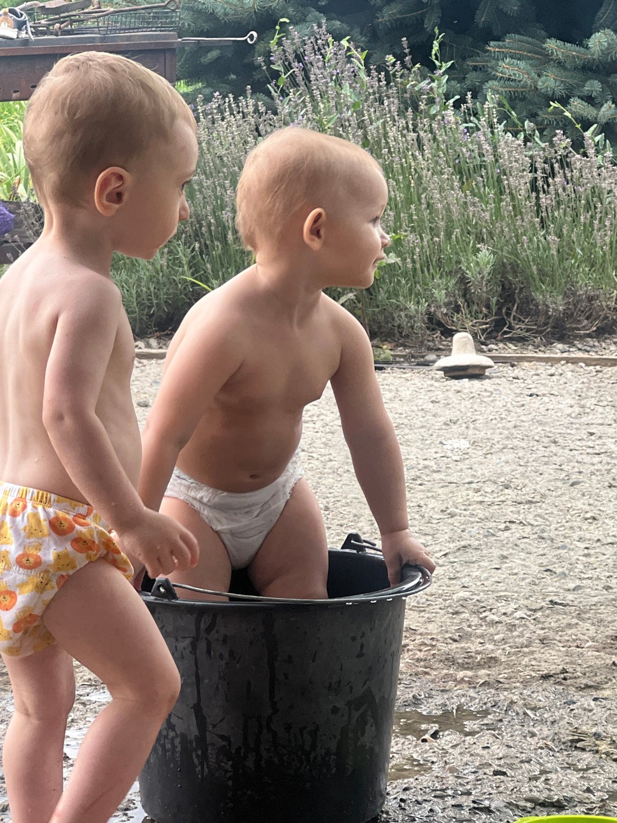 Toddlers playing outside, one splashing in a backyard bucket