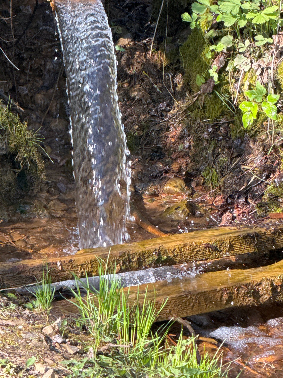 Spring afternoon gathering near natural water features documented