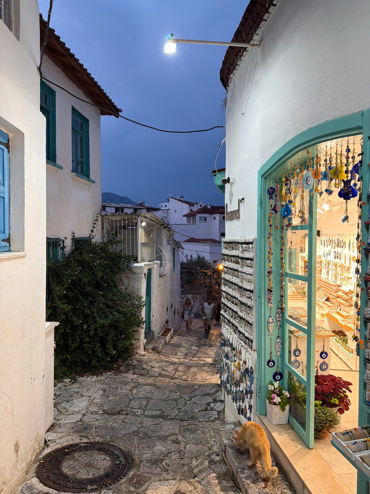 Cats, cobblestones, and harbor light in Marmaris at dusk